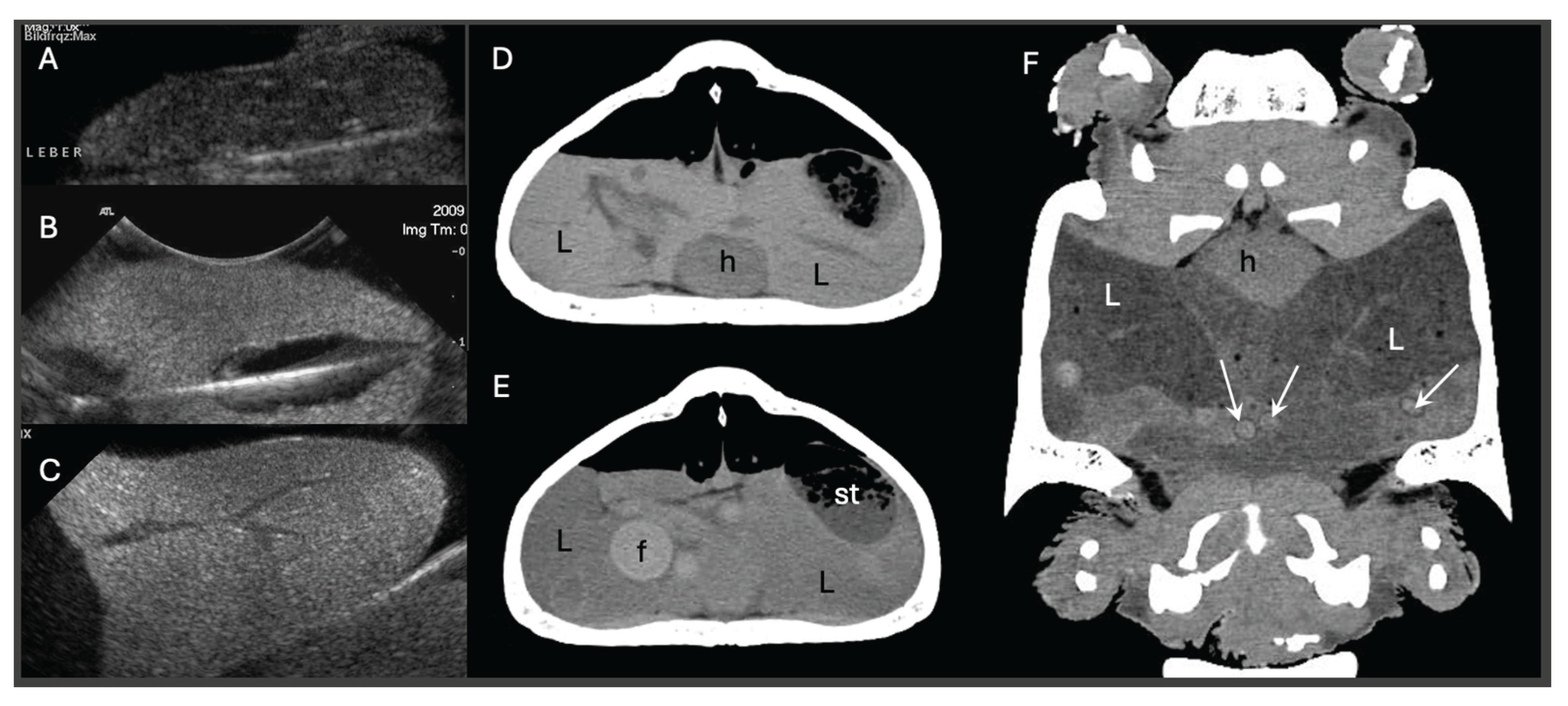 Preprints 188748 g001