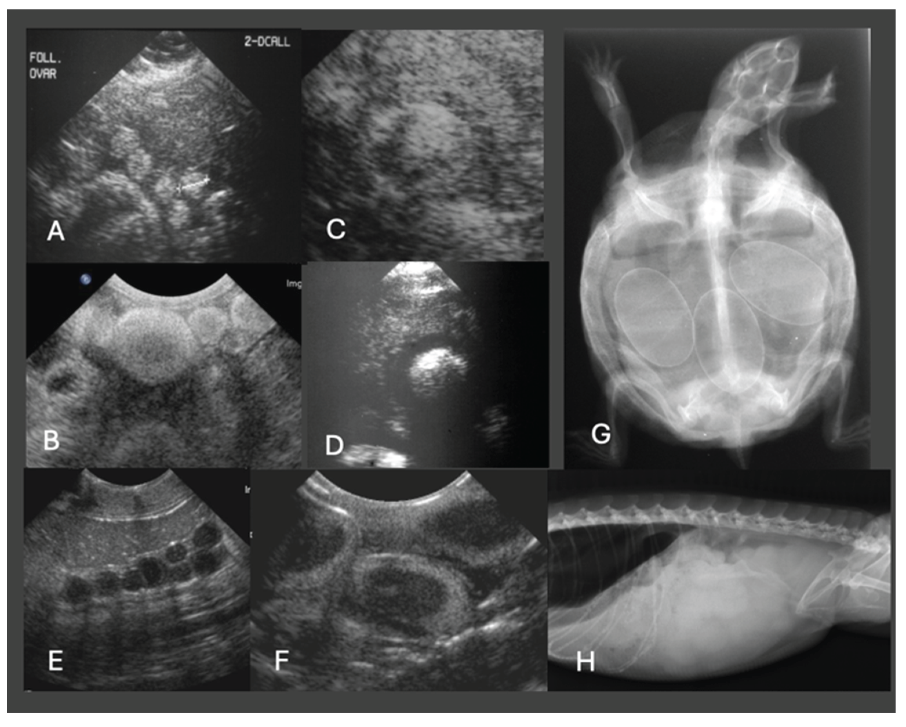 Preprints 188748 g004