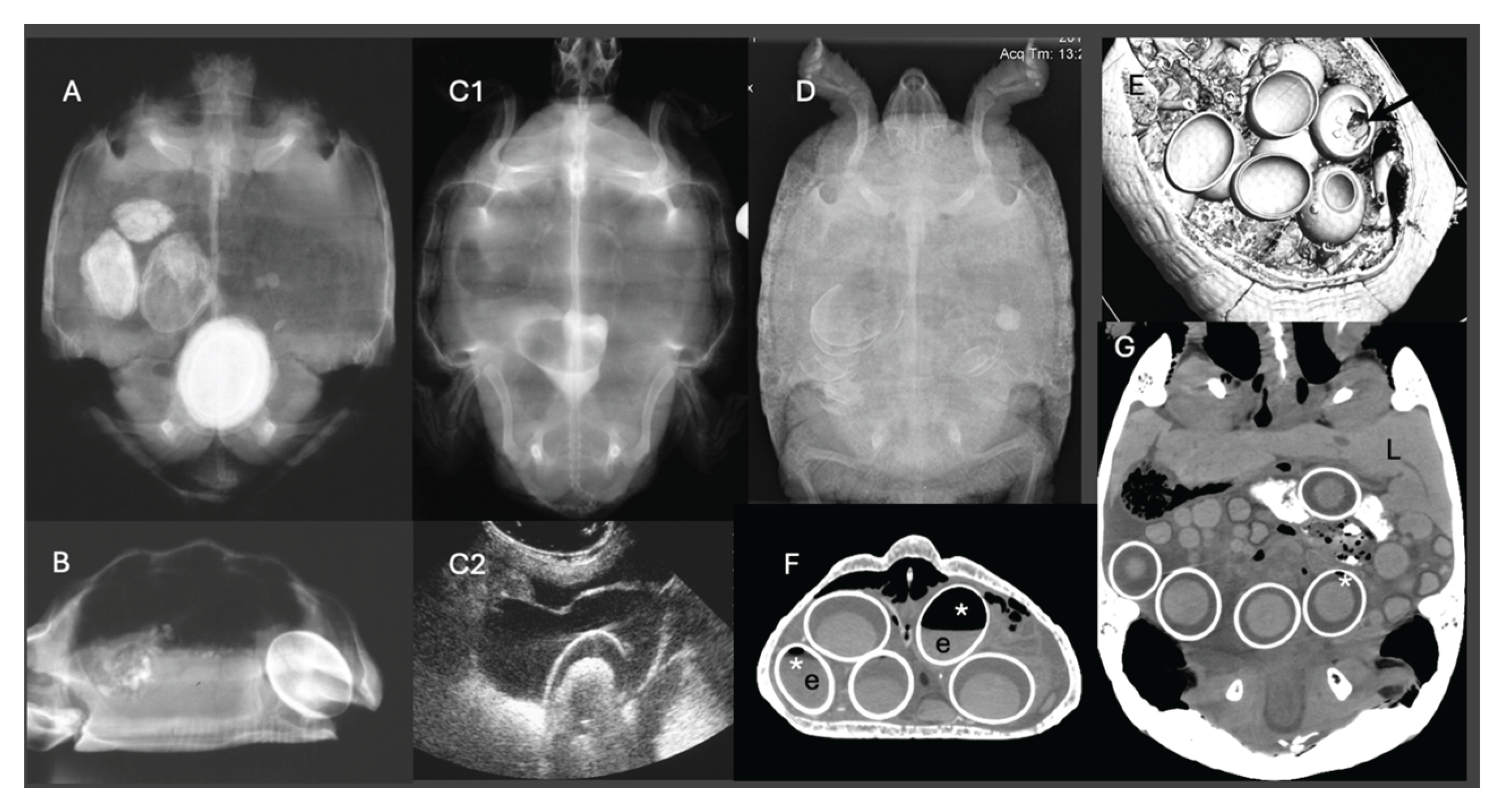 Preprints 188748 g005