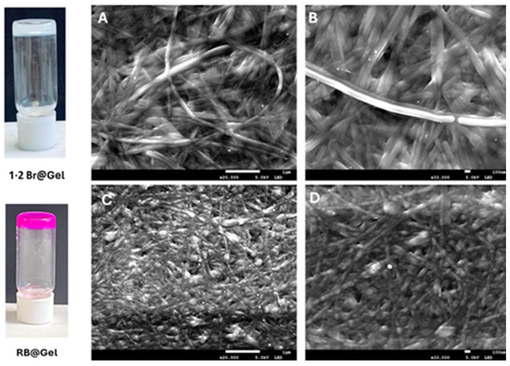 Preprints 185691 g002