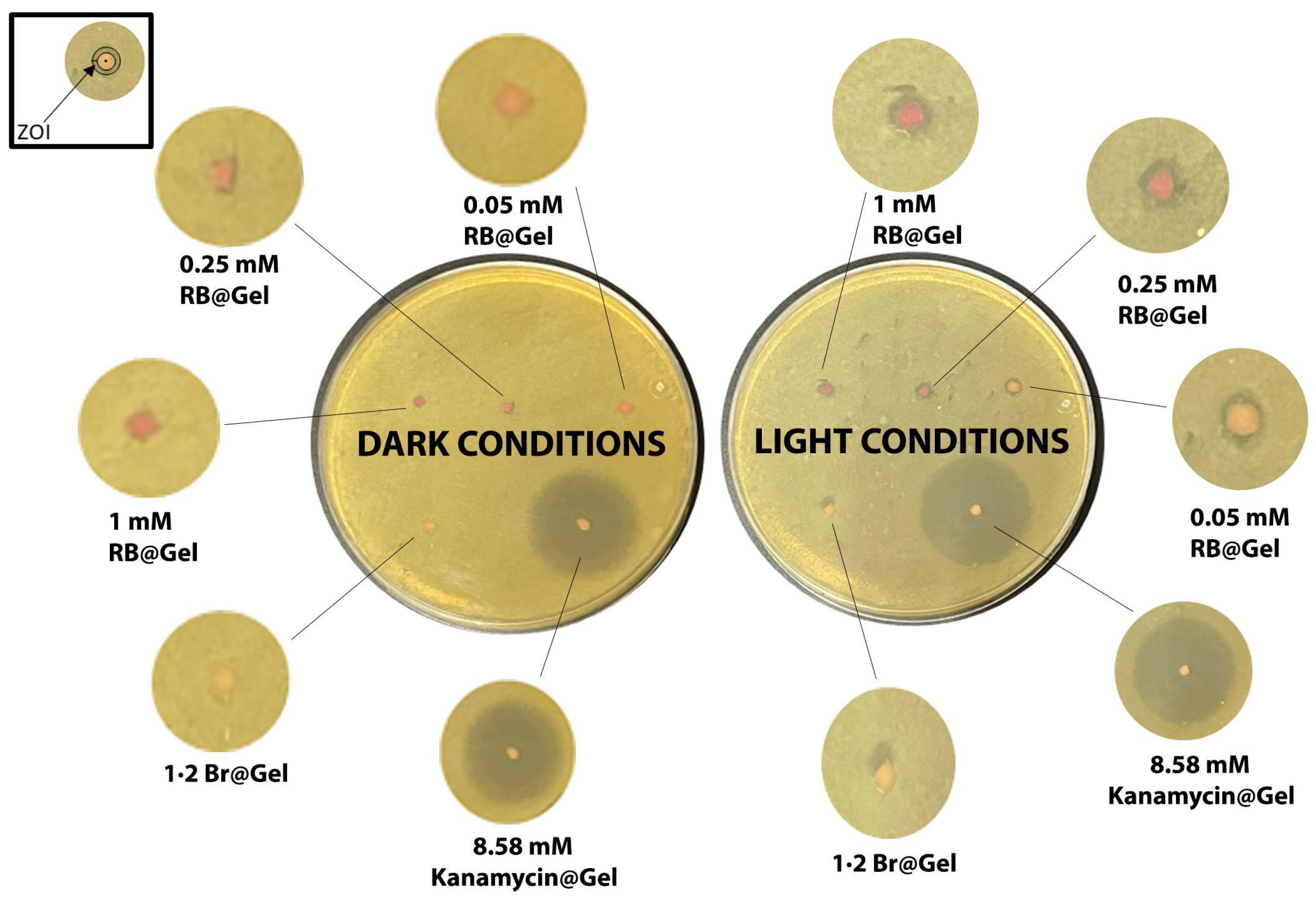 Preprints 185691 g007