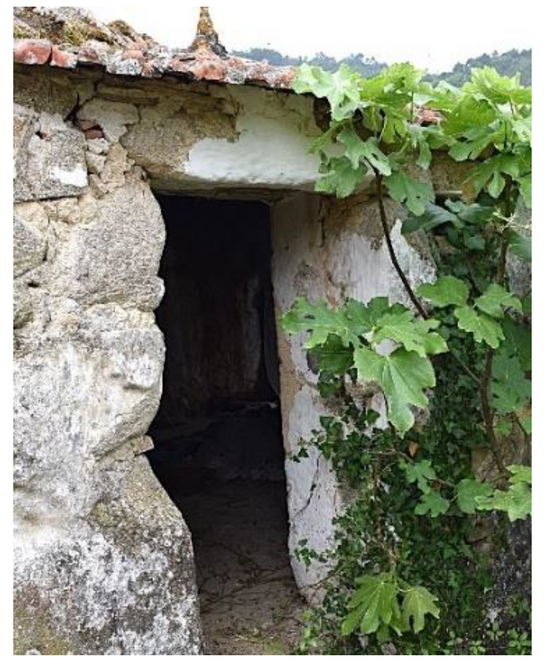 Preprints 149302 g004