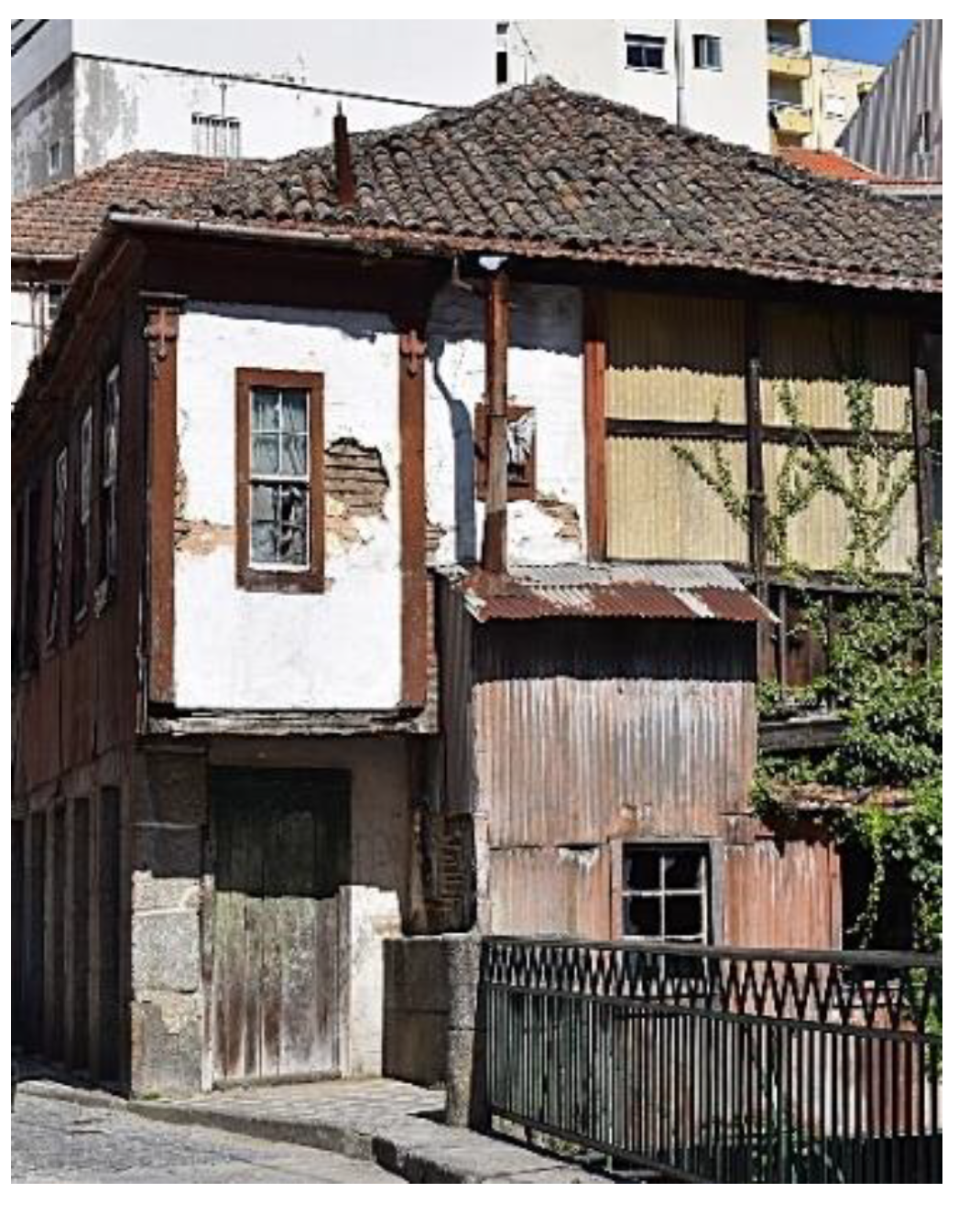 Preprints 149302 g011