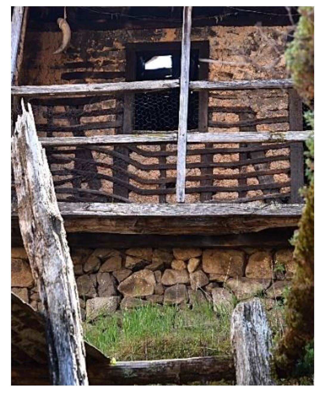 Preprints 149302 g014