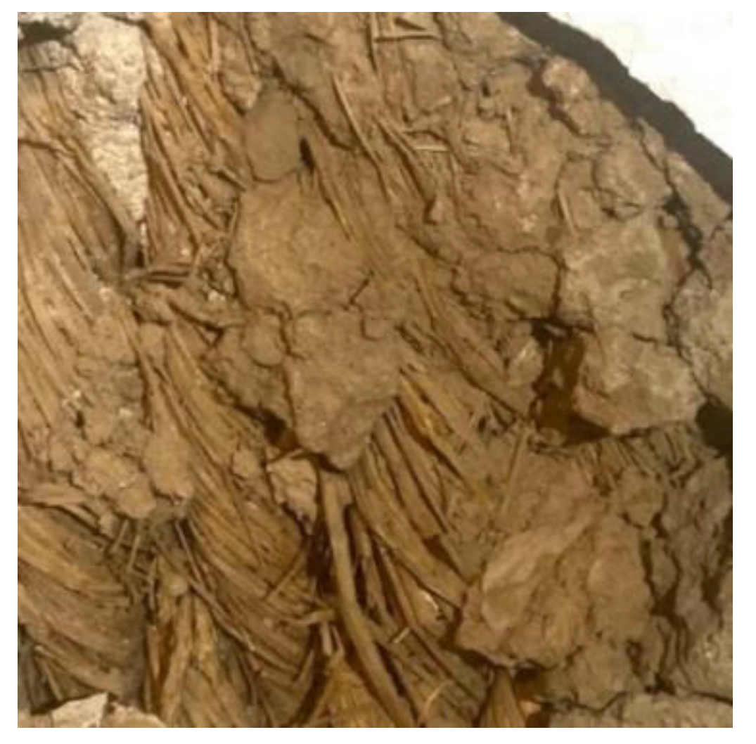 Preprints 149302 g062