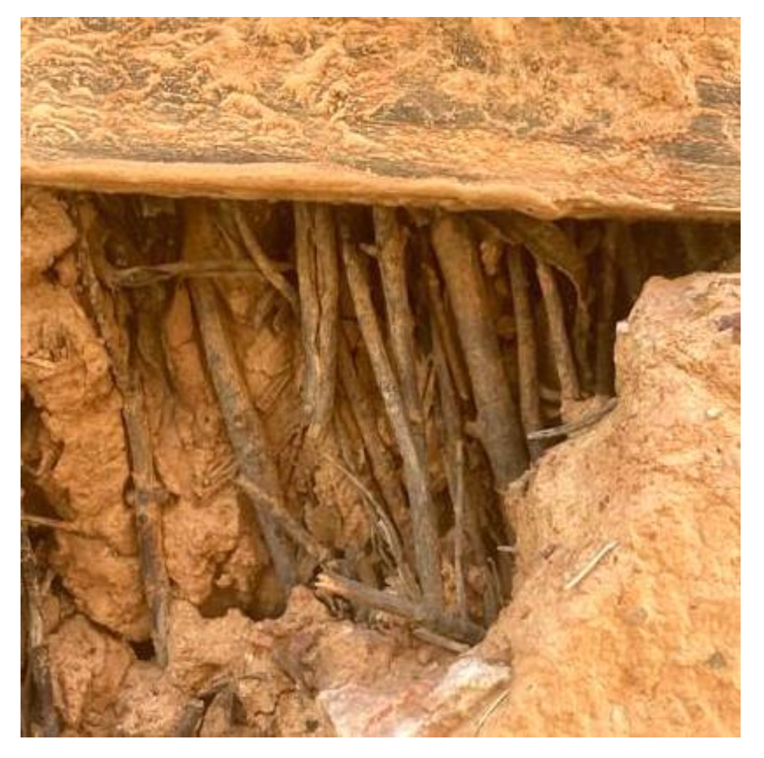 Preprints 149302 g063