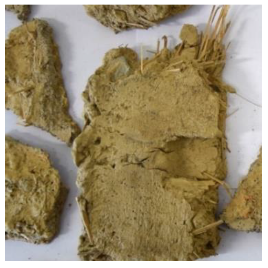 Preprints 149302 g064