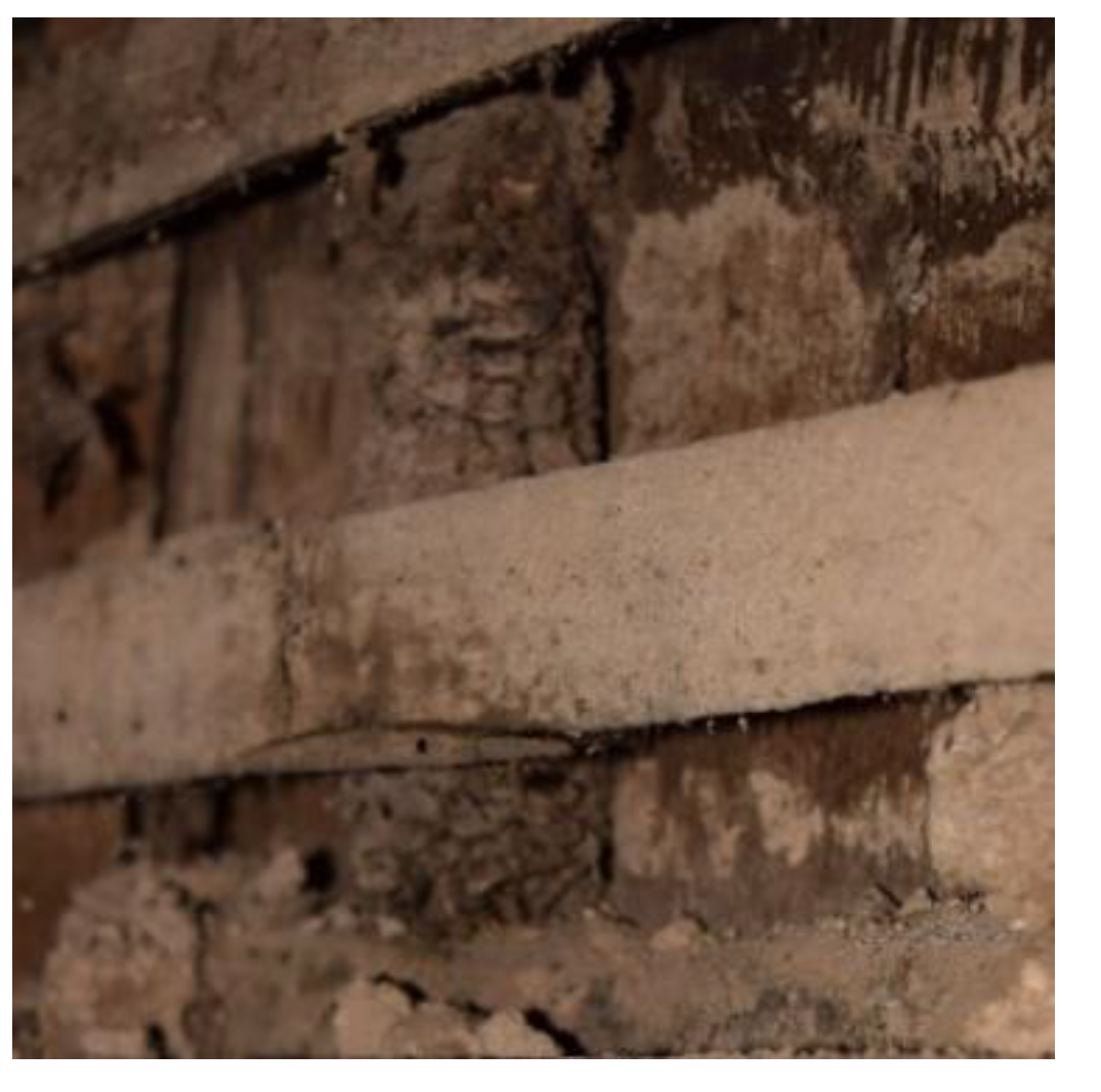 Preprints 149302 g066