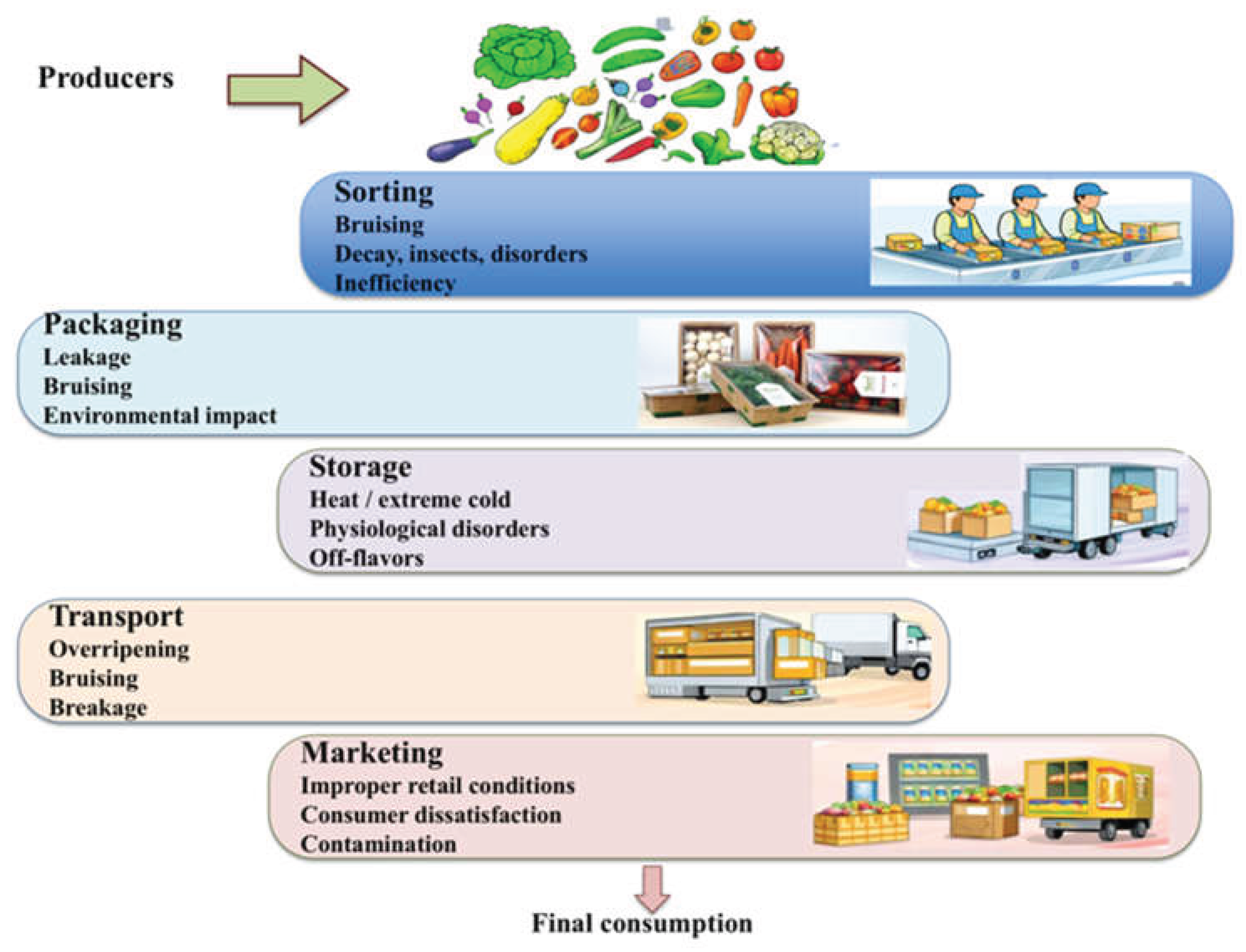Preprints 199014 g002