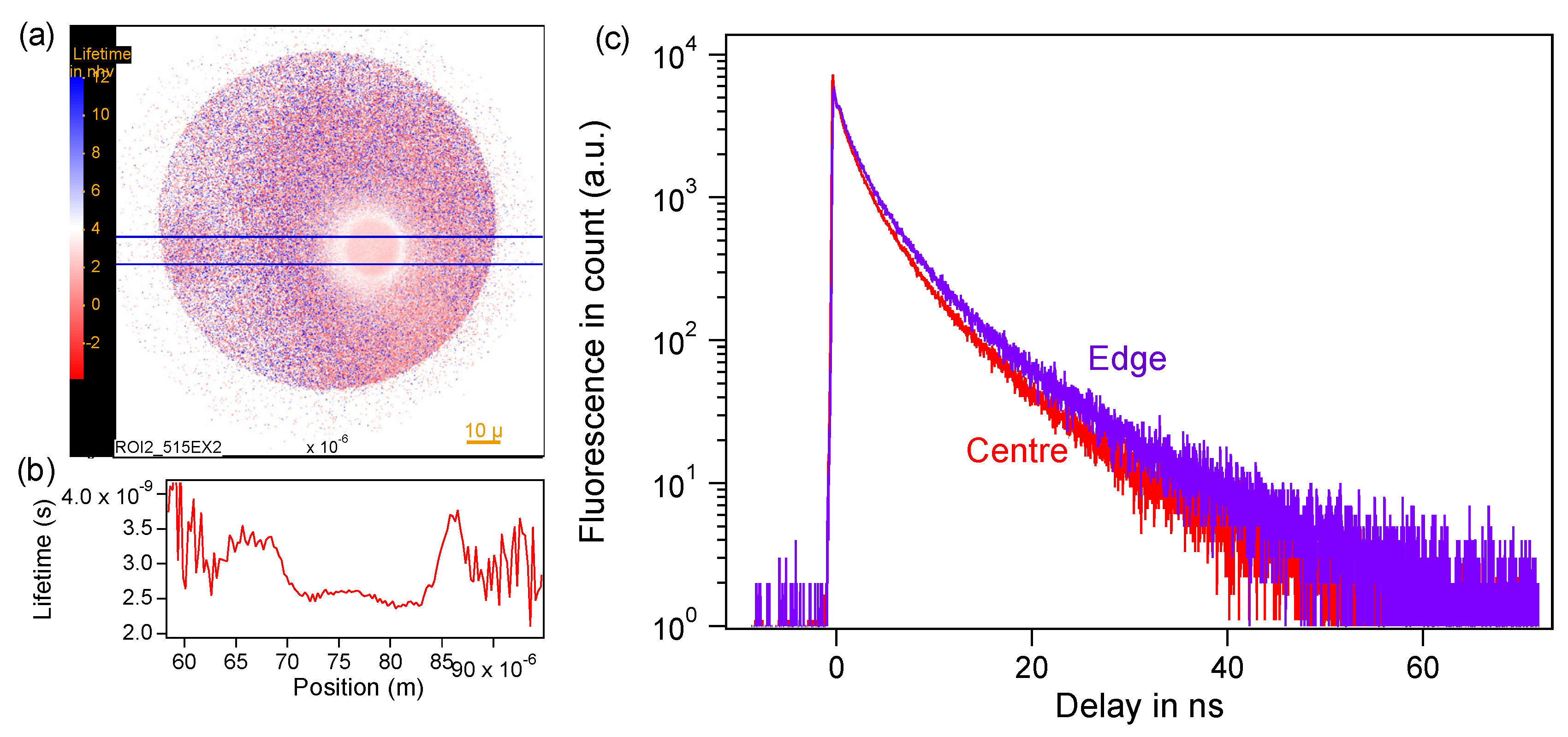 Preprints 101876 g004