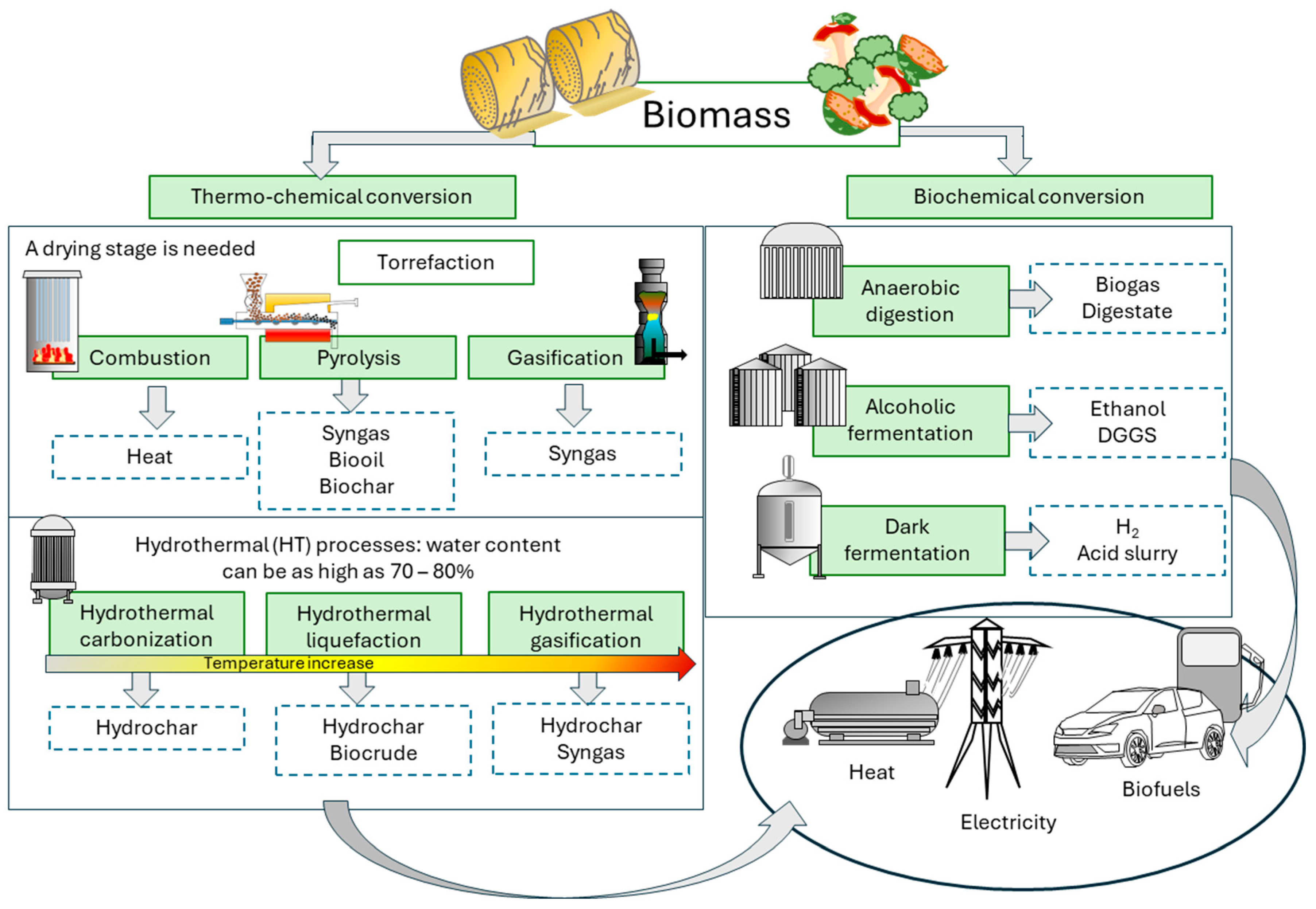 Preprints 204590 g001