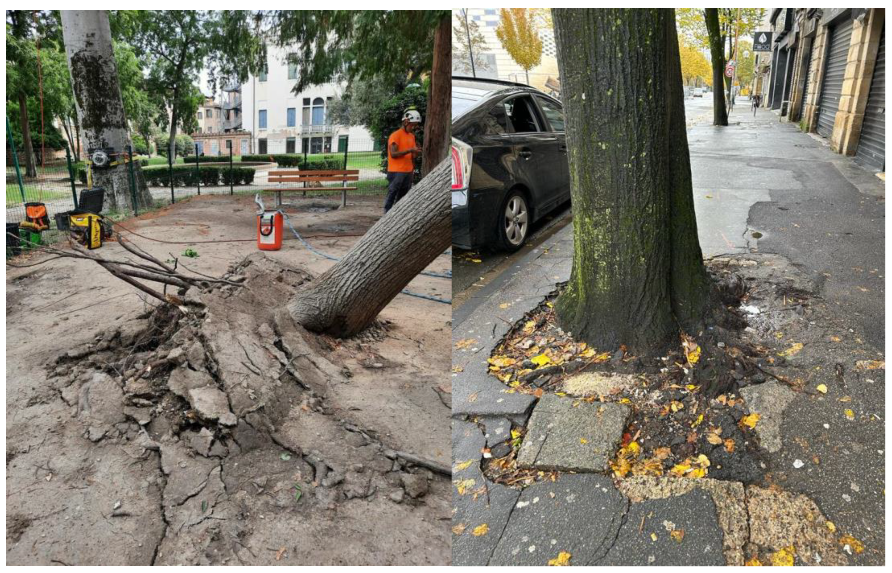 Preprints 154918 g001