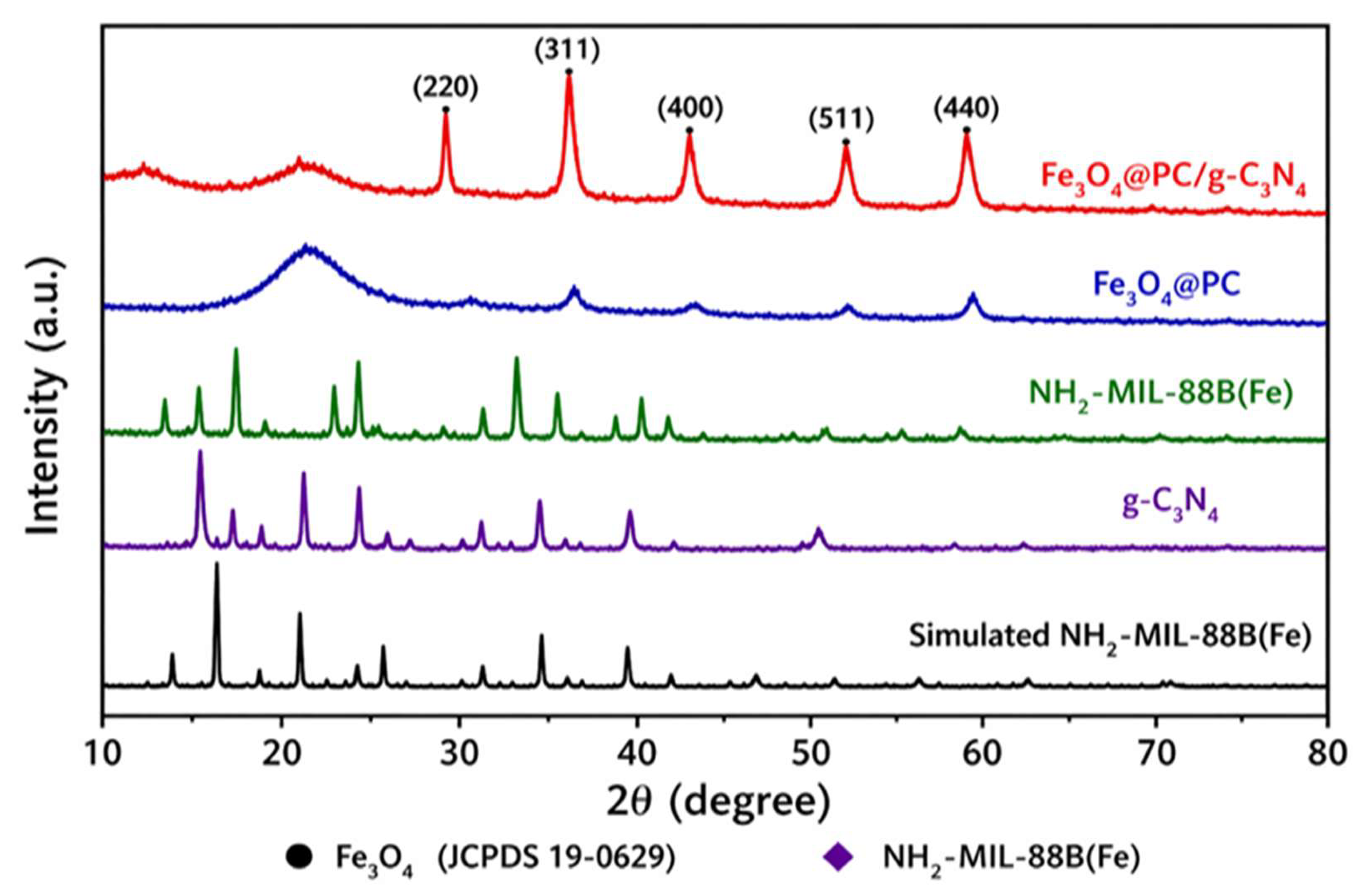 Preprints 210755 g002
