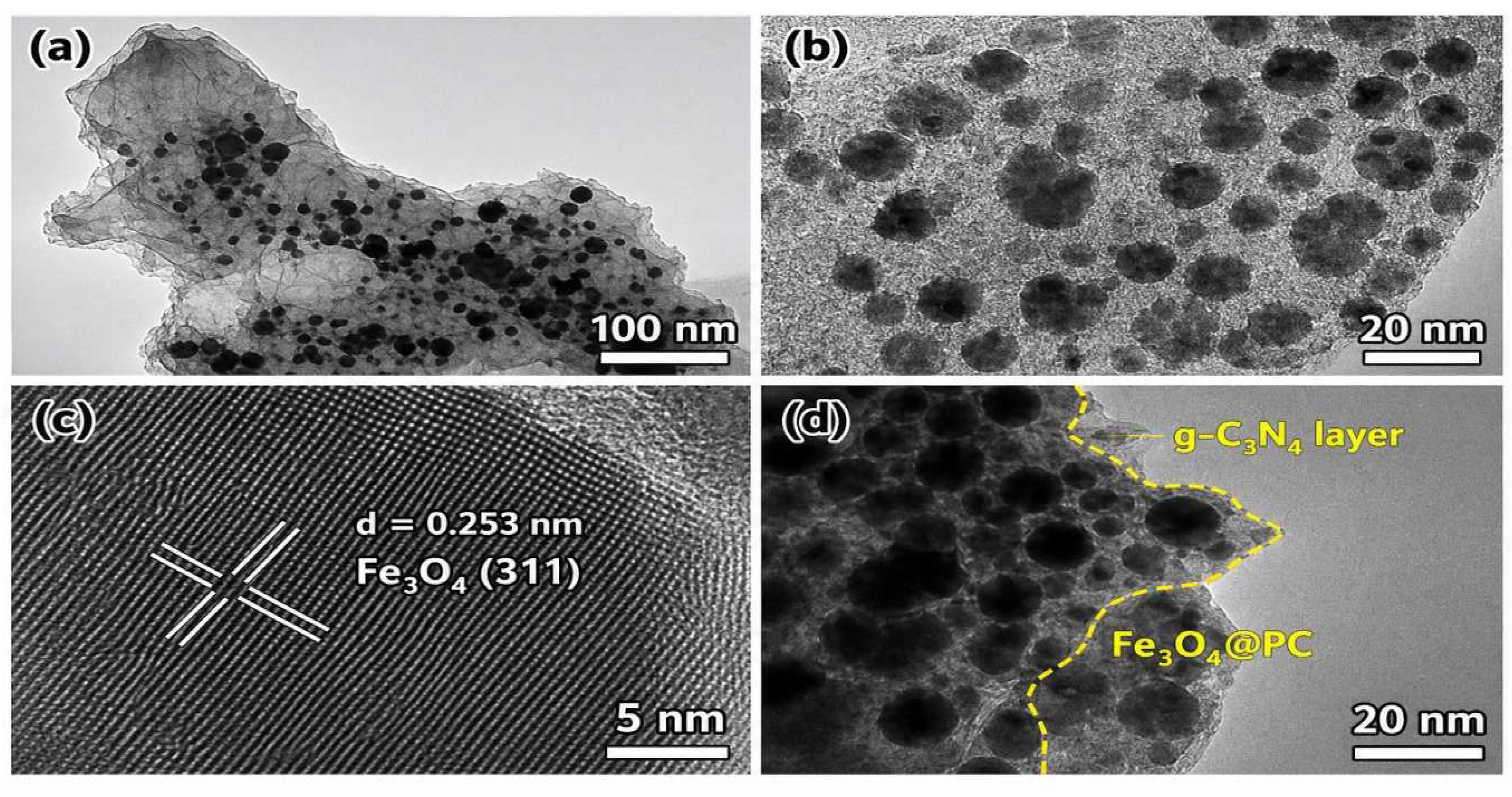 Preprints 210755 g004