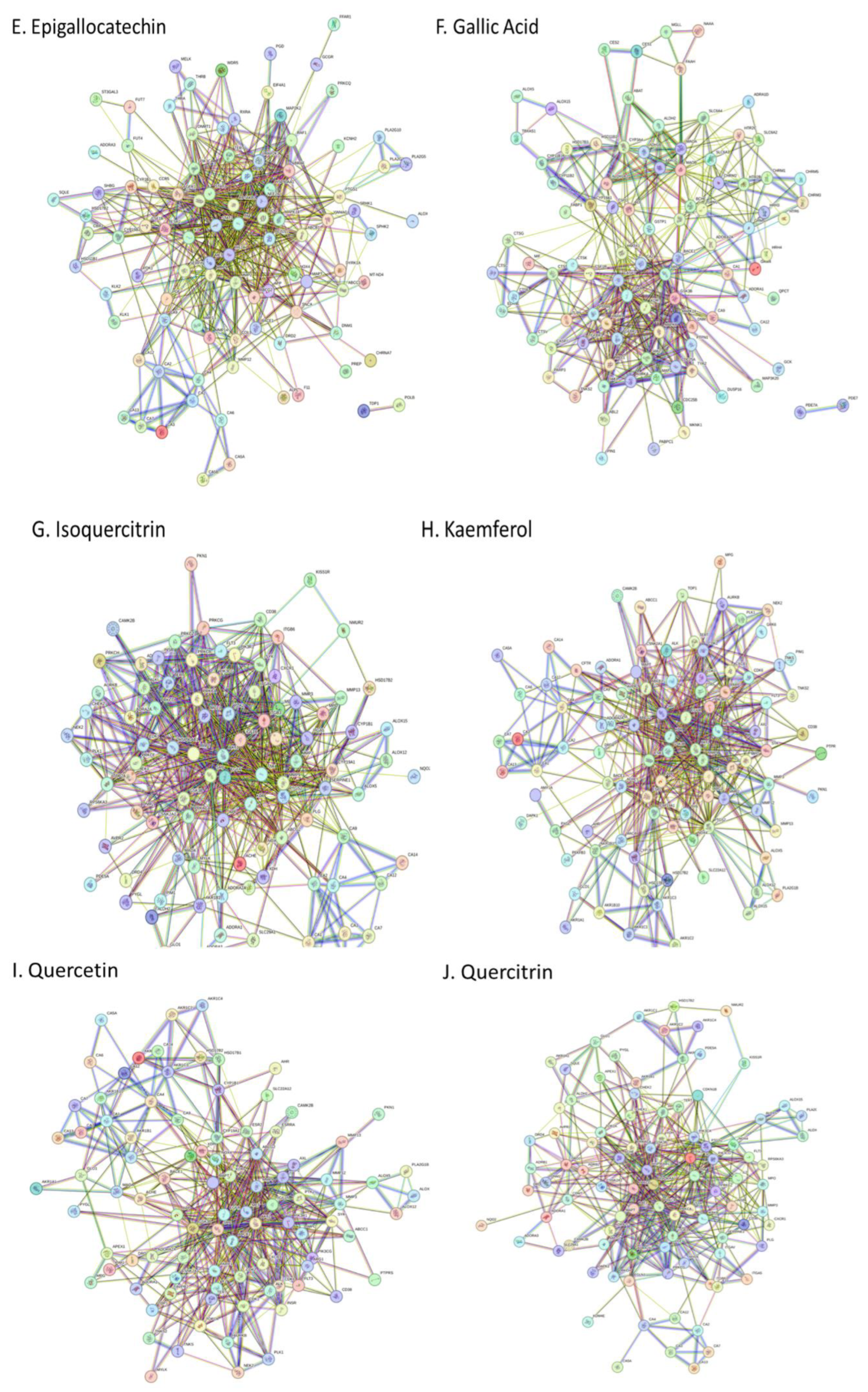 Preprints 115525 g001b