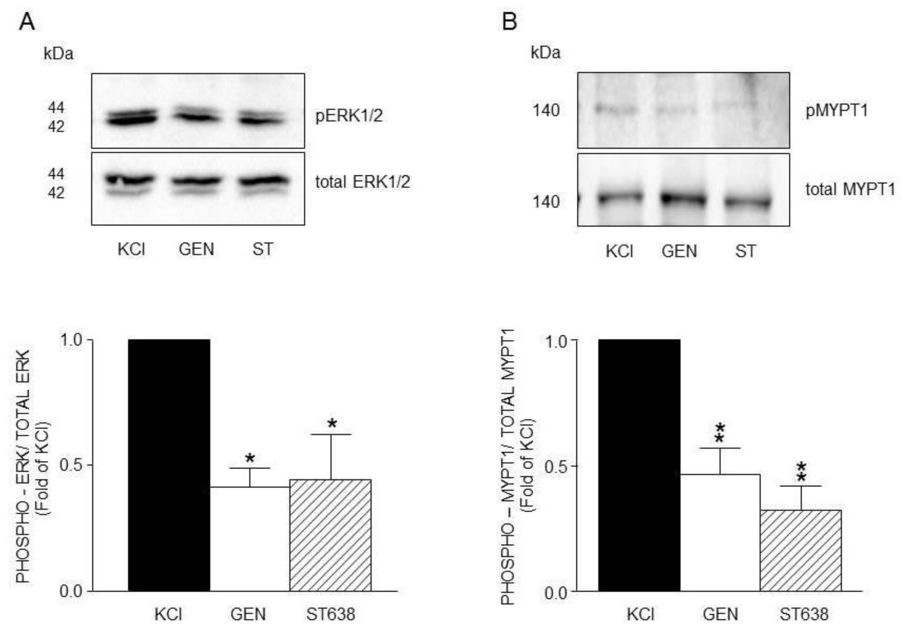 Preprints 167423 g007