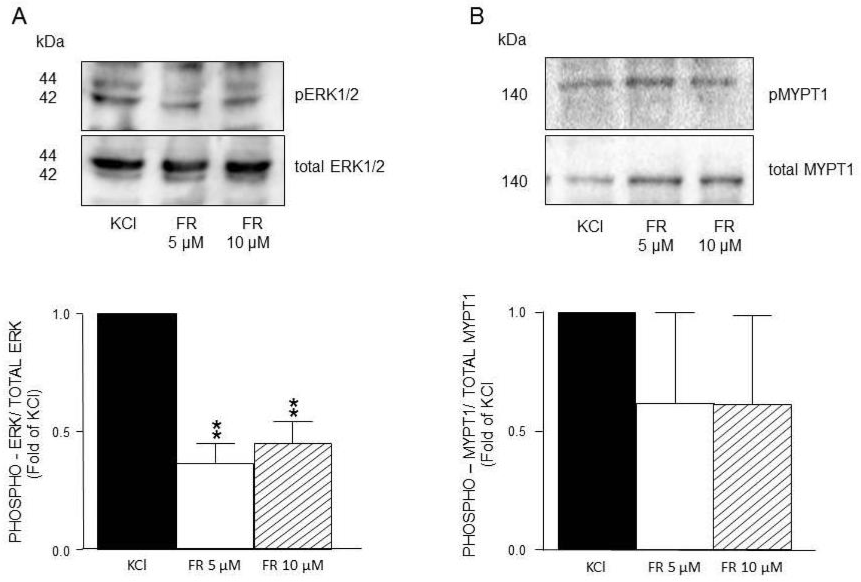 Preprints 167423 g008