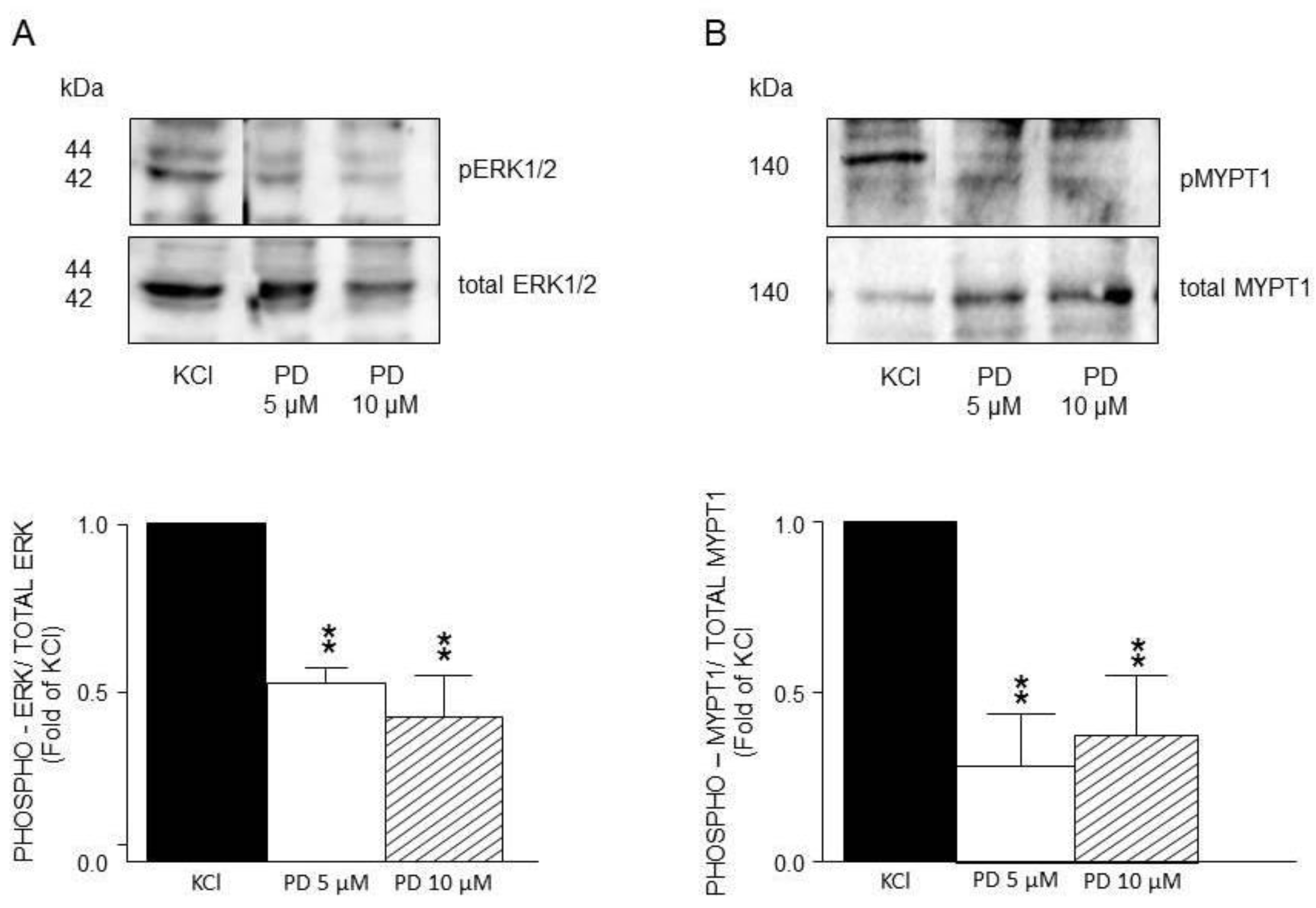 Preprints 167423 g009