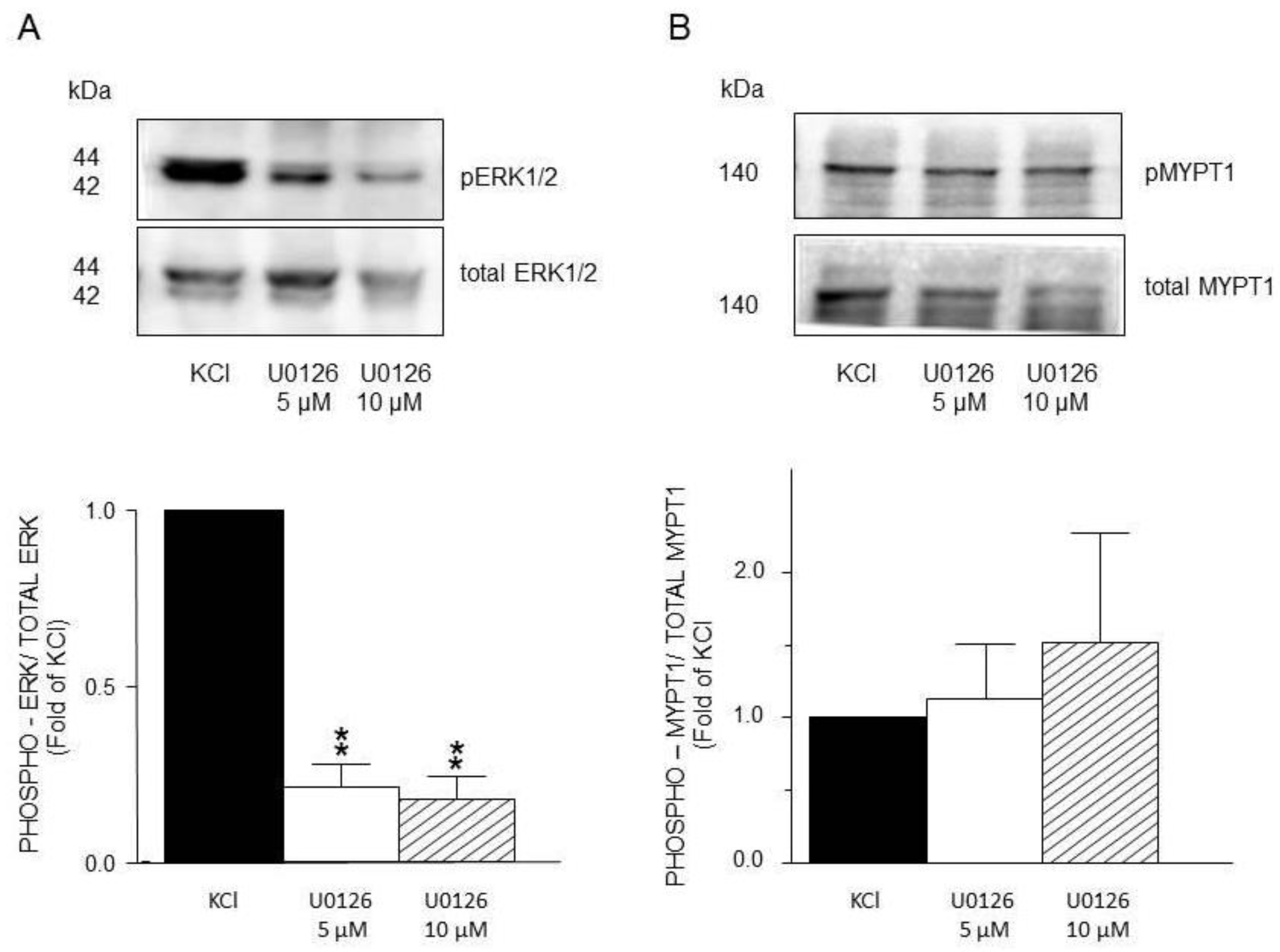 Preprints 167423 g010