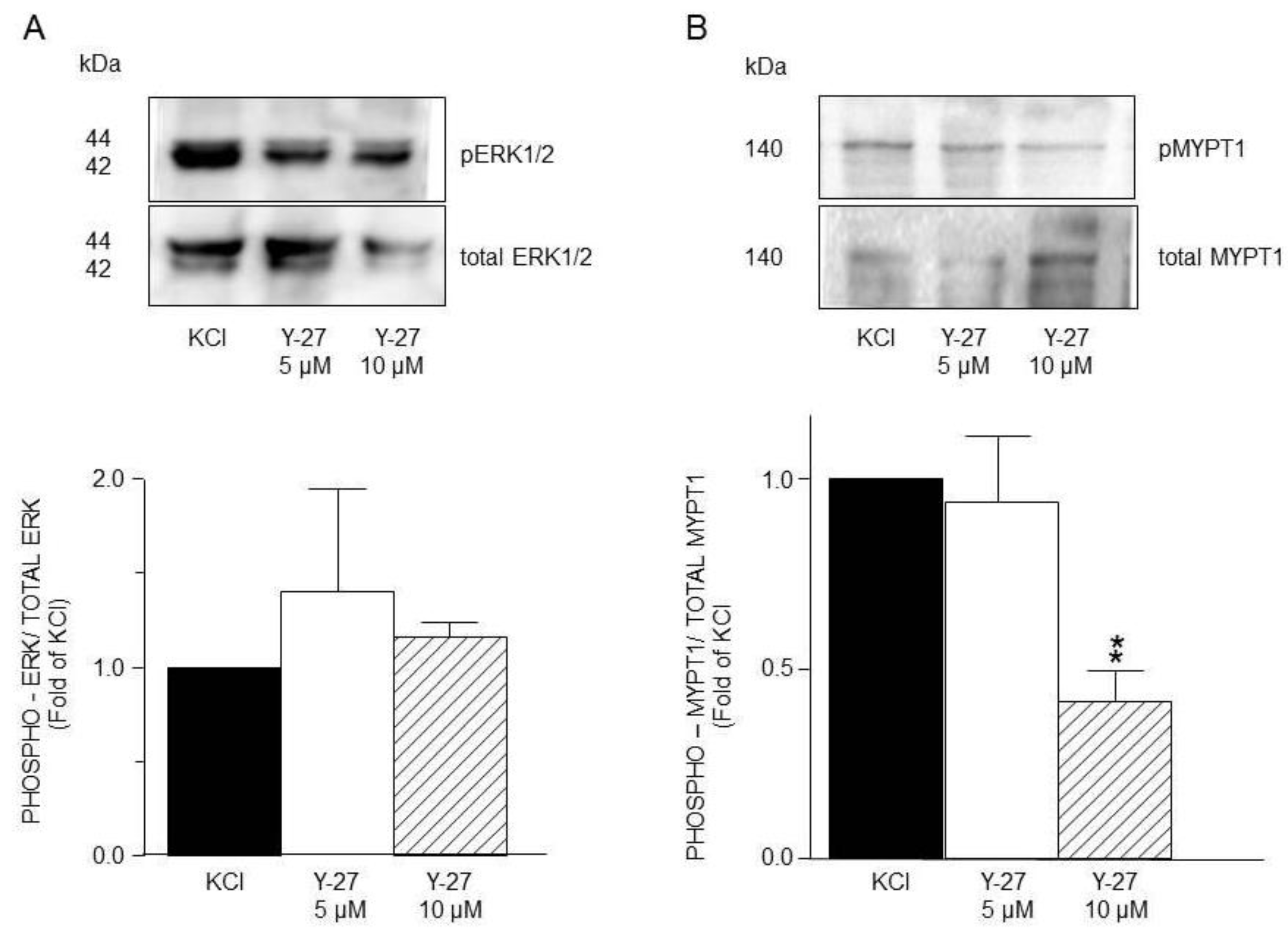 Preprints 167423 g011