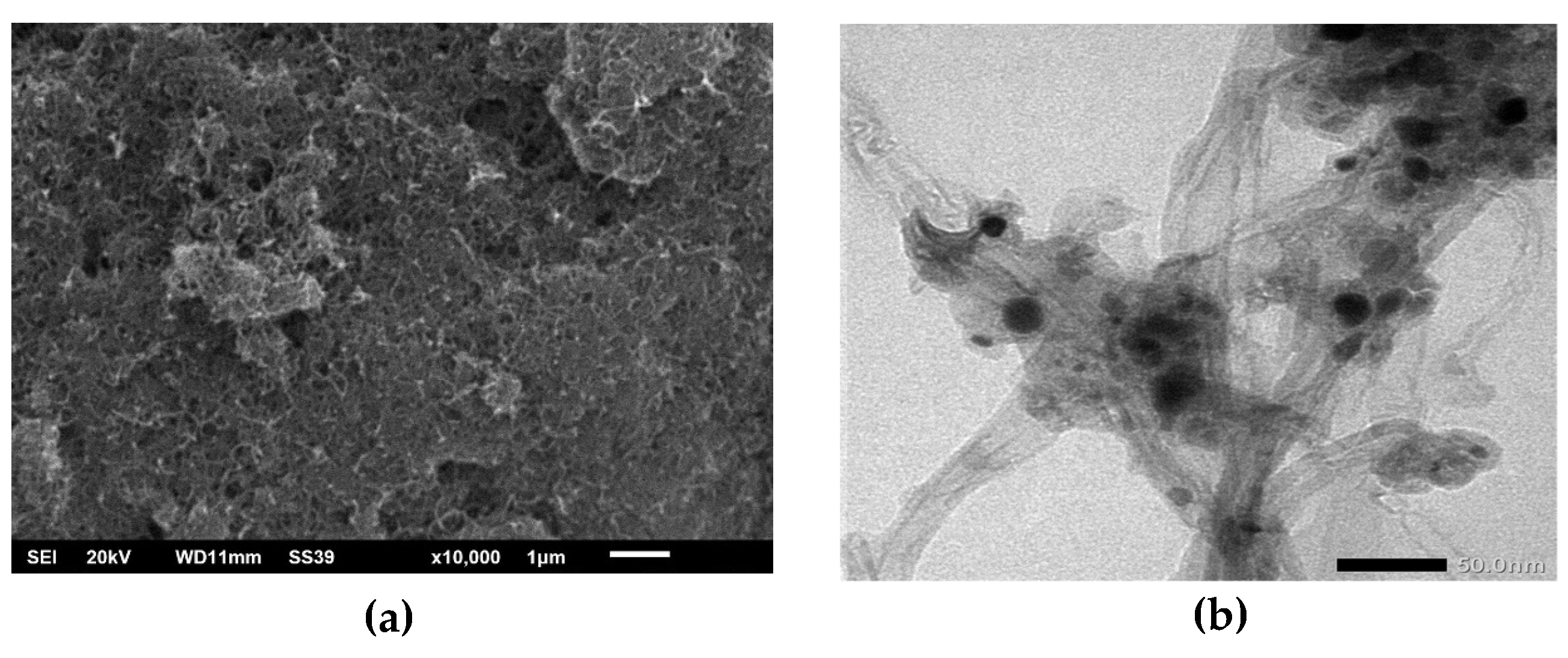 Preprints 73884 g002