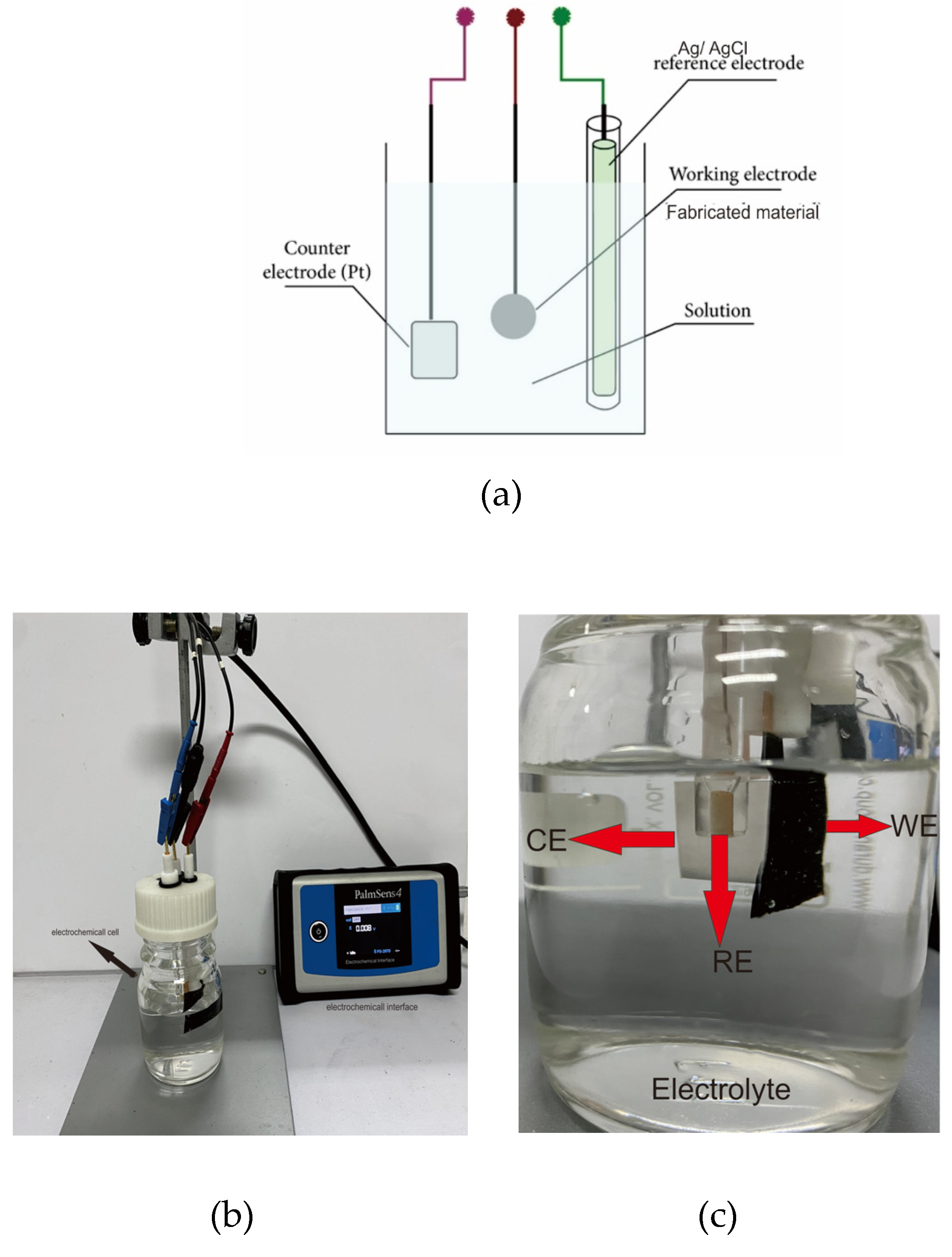 Preprints 73884 g004