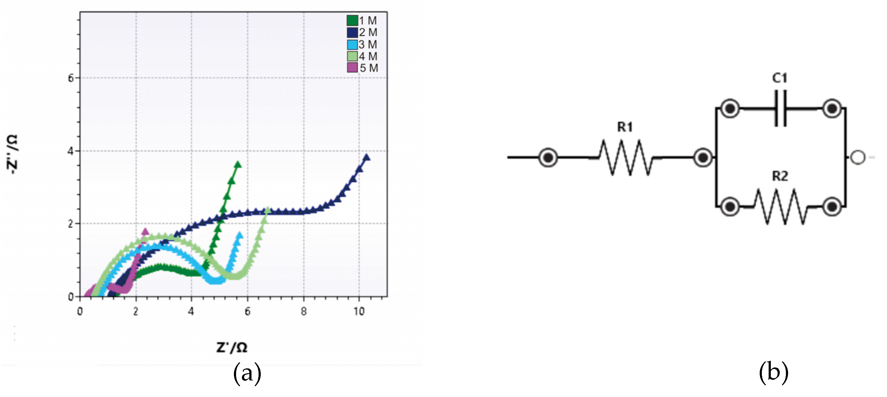 Preprints 73884 g006