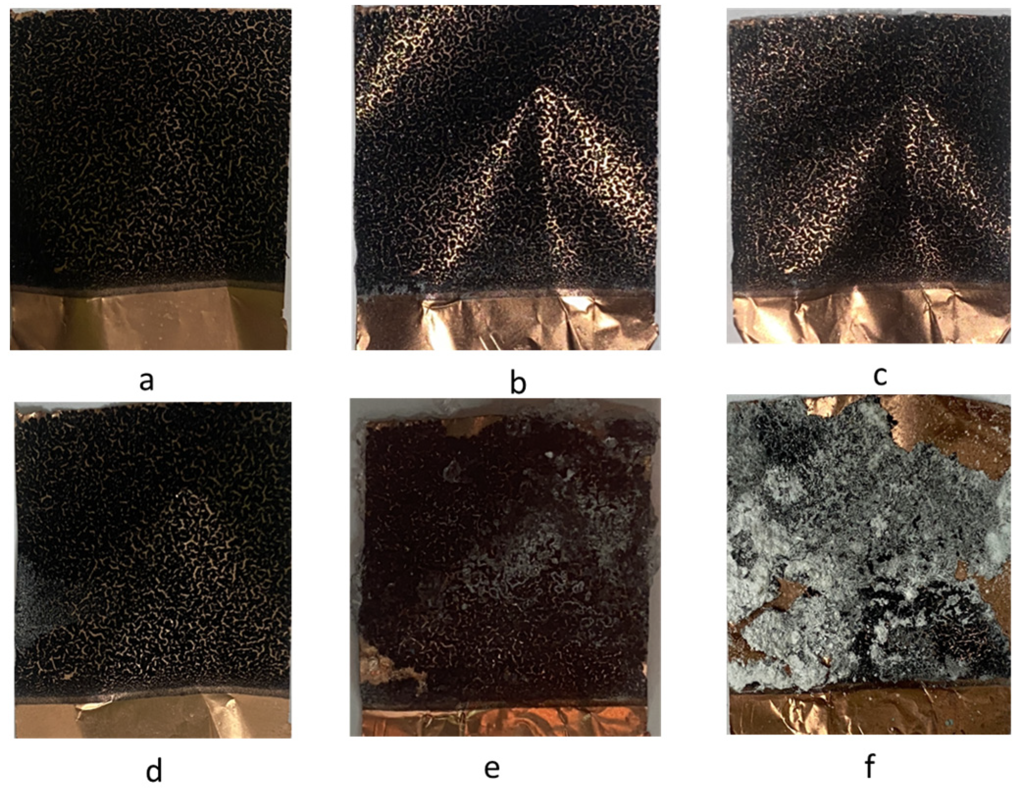 Preprints 73884 g007