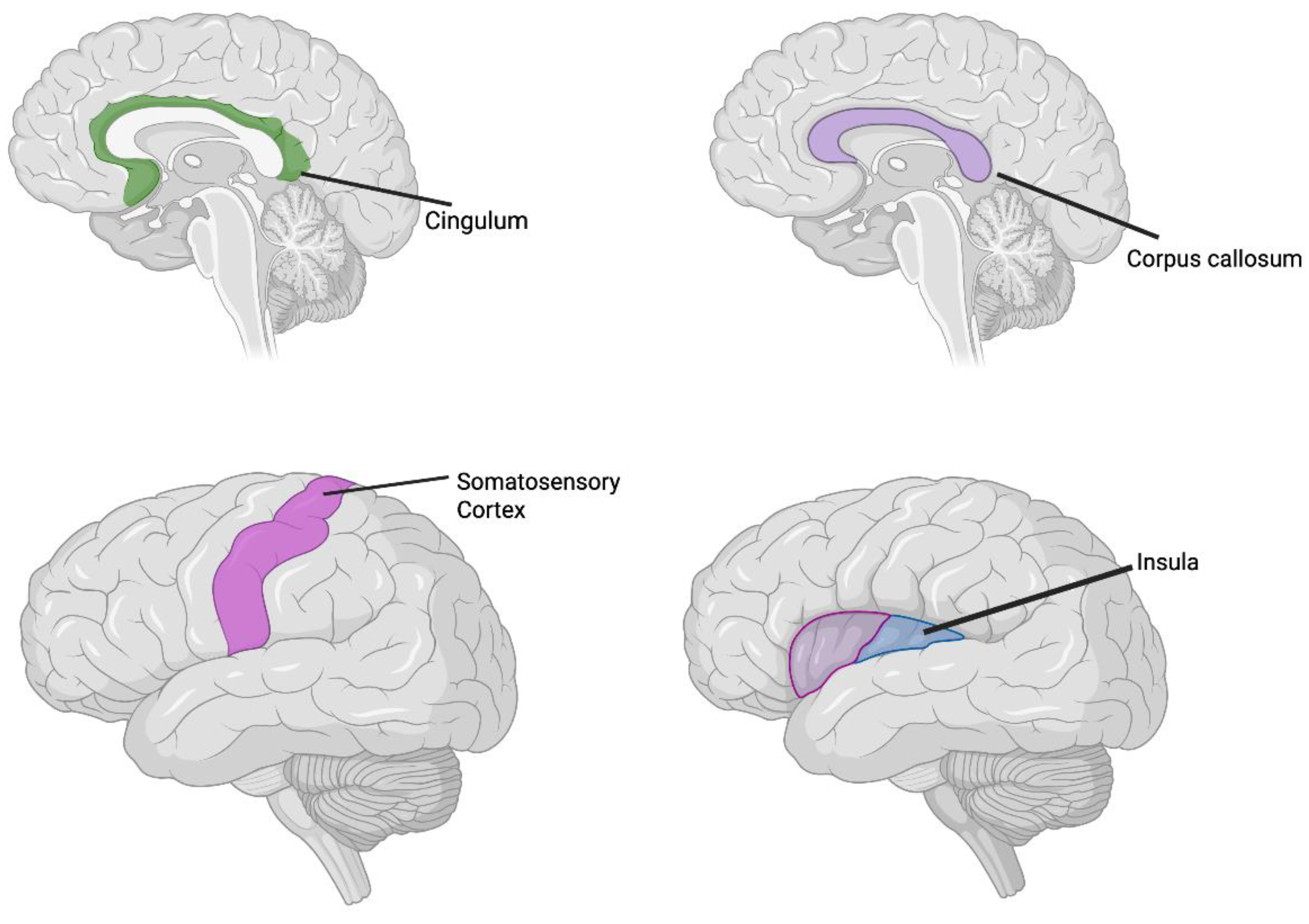 Preprints 180836 g001