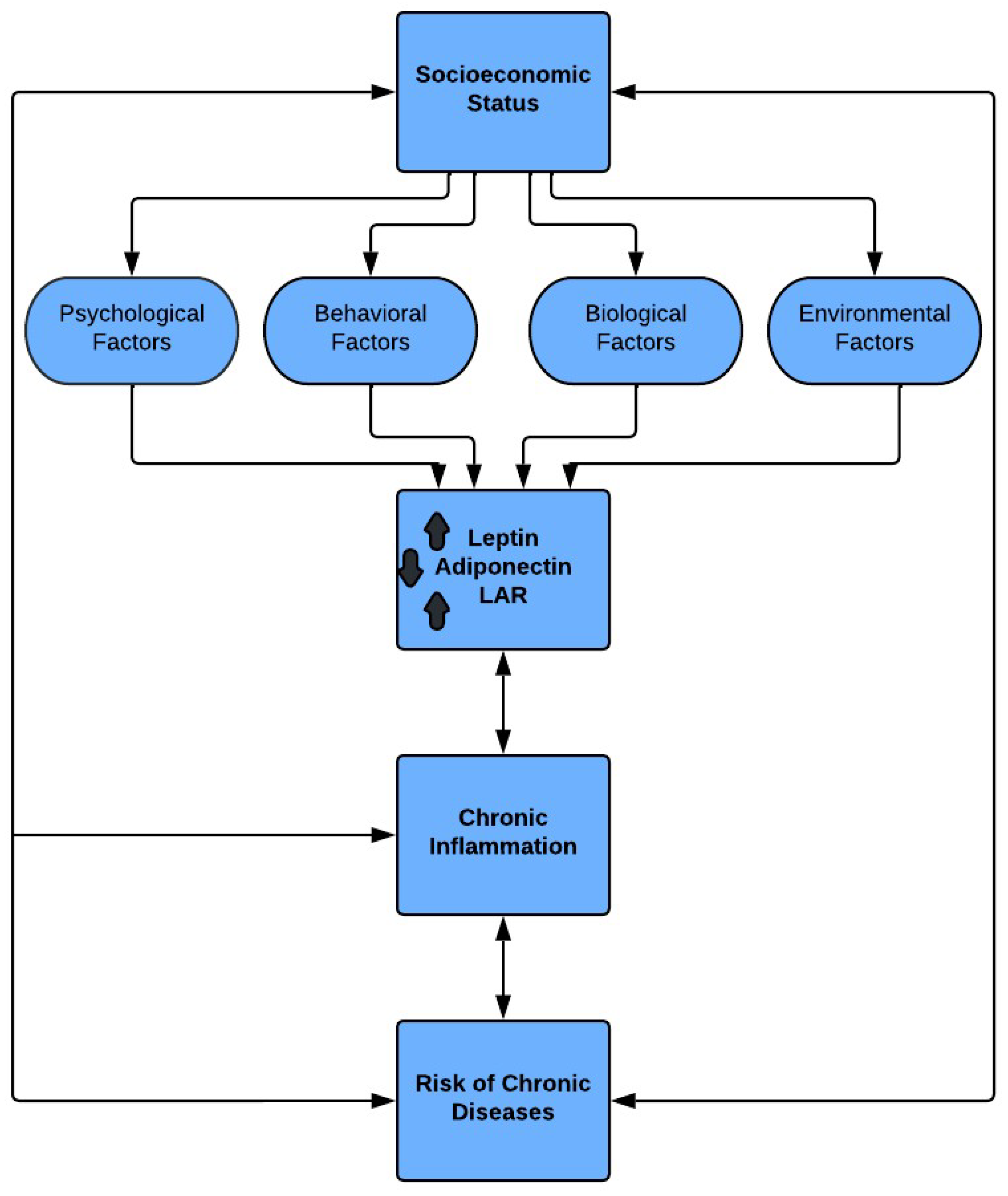 Preprints 167452 g001