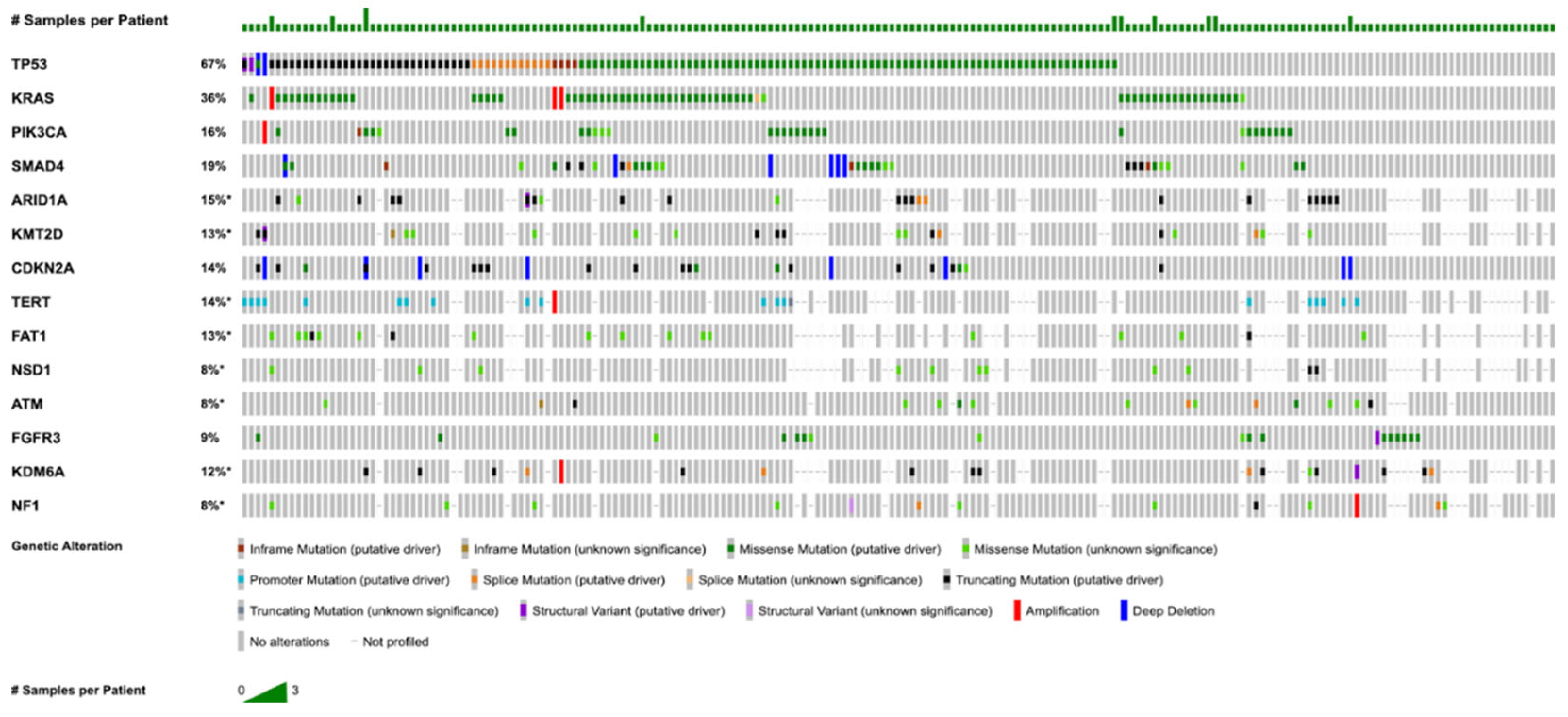 Preprints 189987 g001