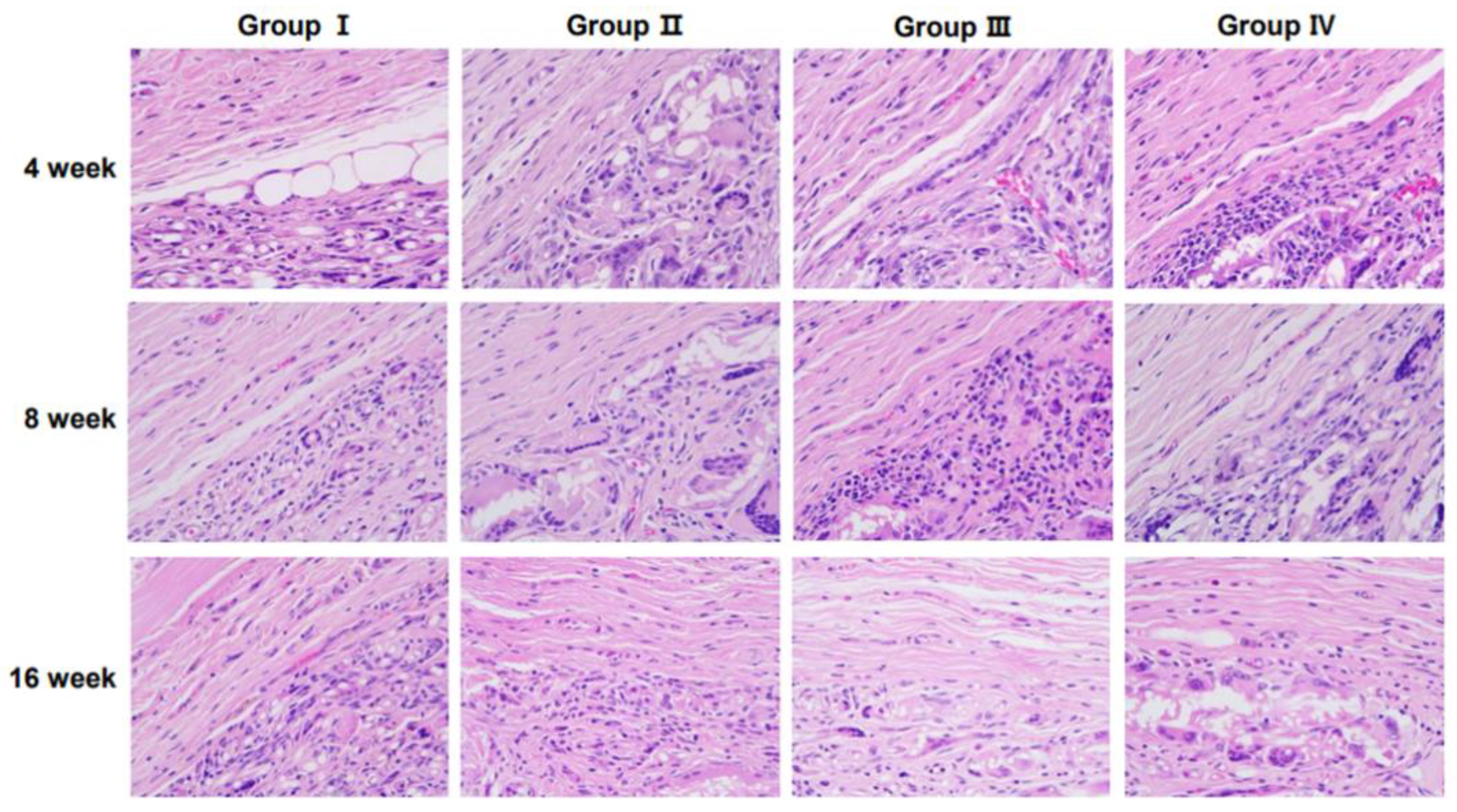 Preprints 153781 g002