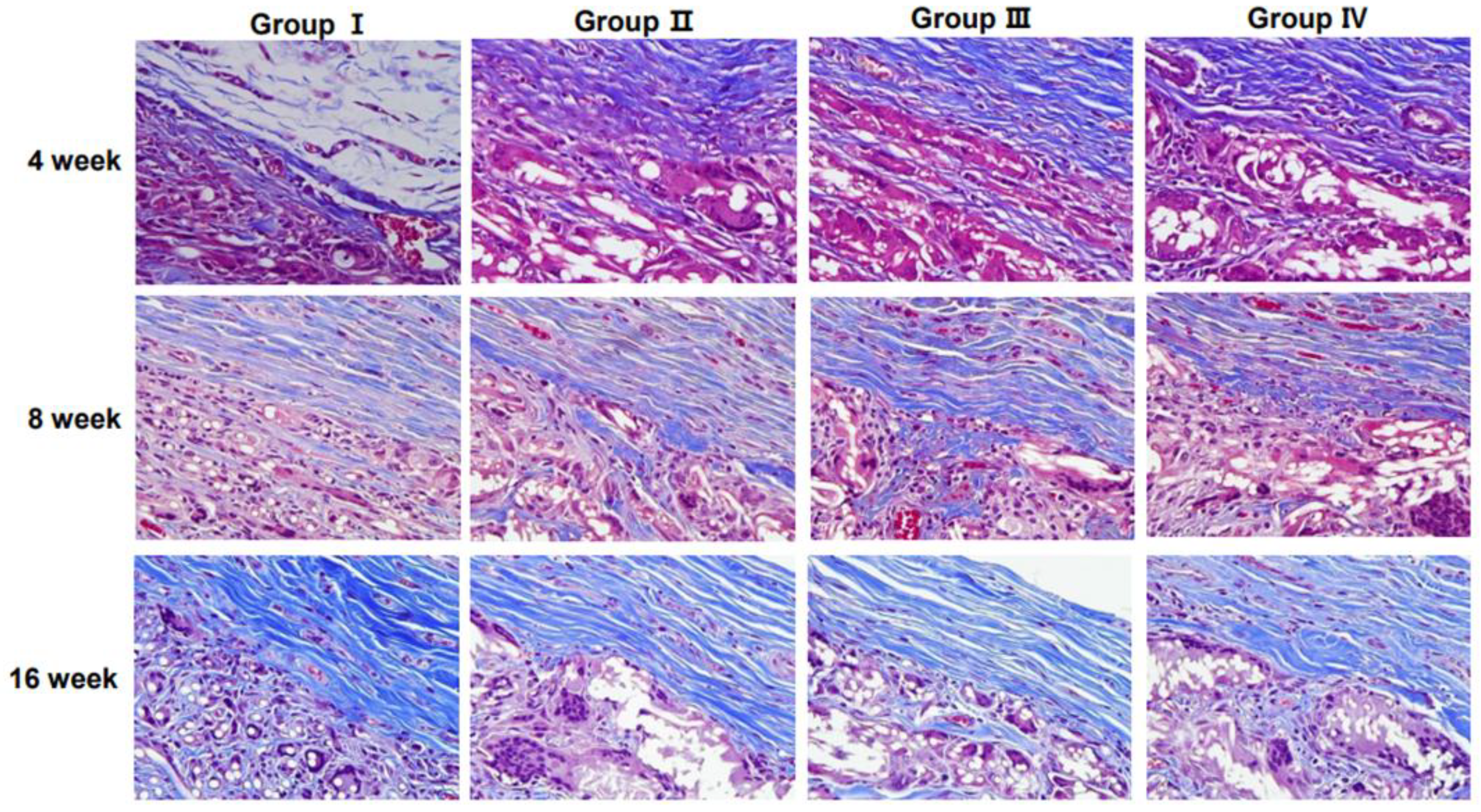 Preprints 153781 g005