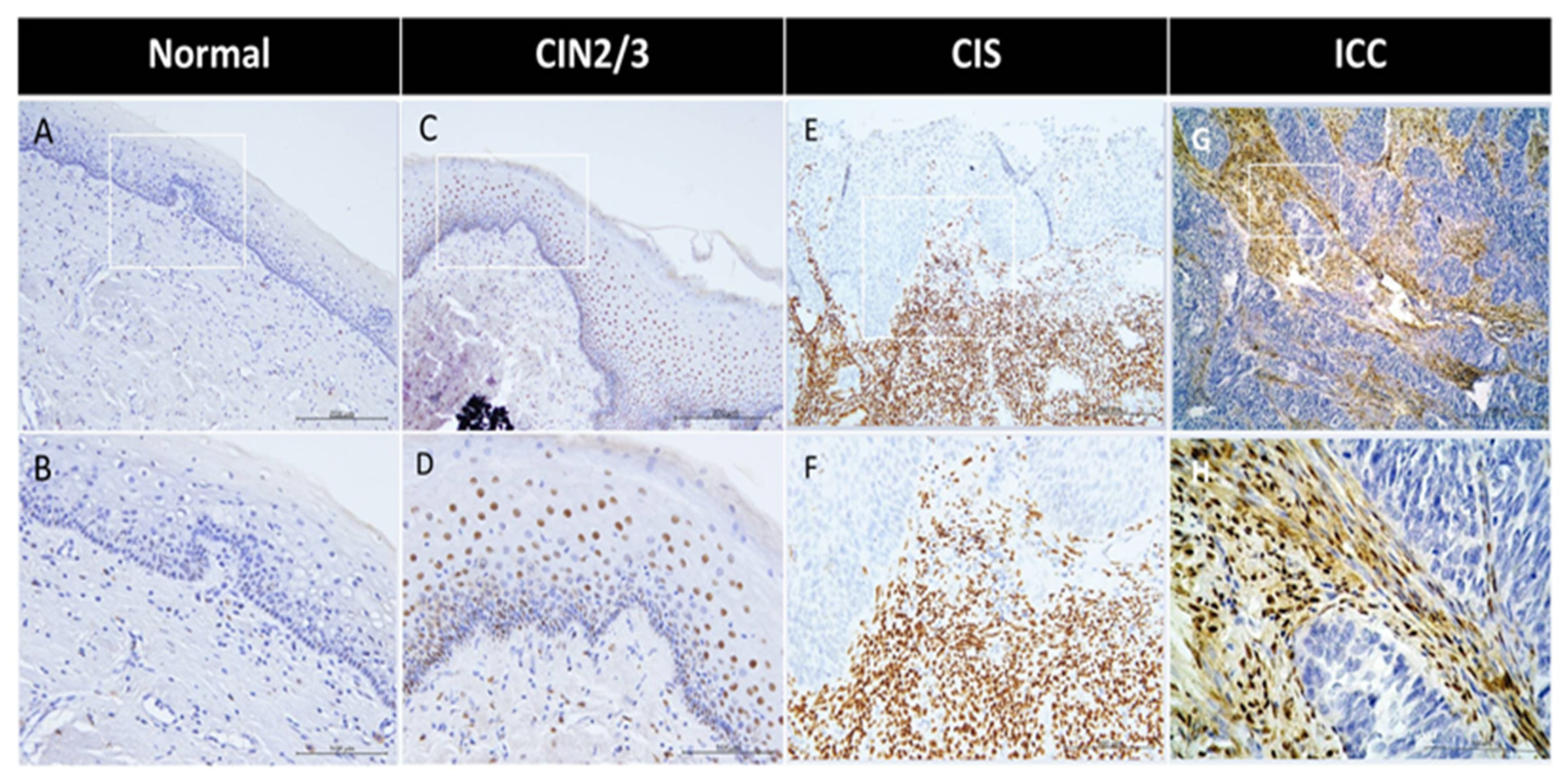 Preprints 155320 g001