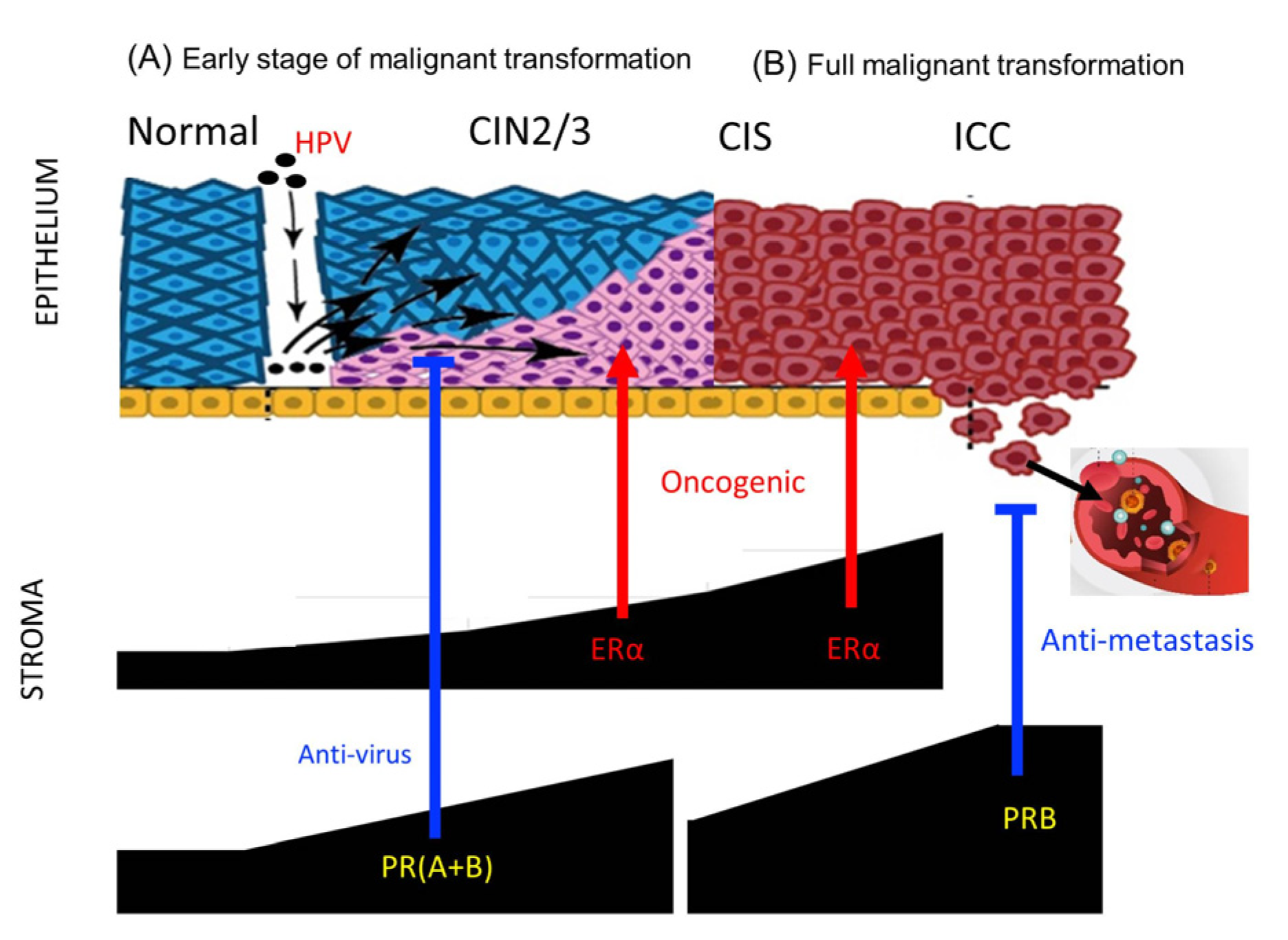 Preprints 155320 g007