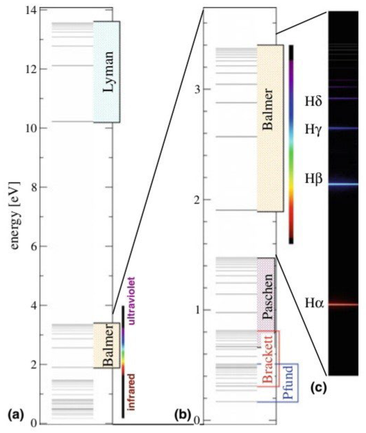 Preprints 138542 g002