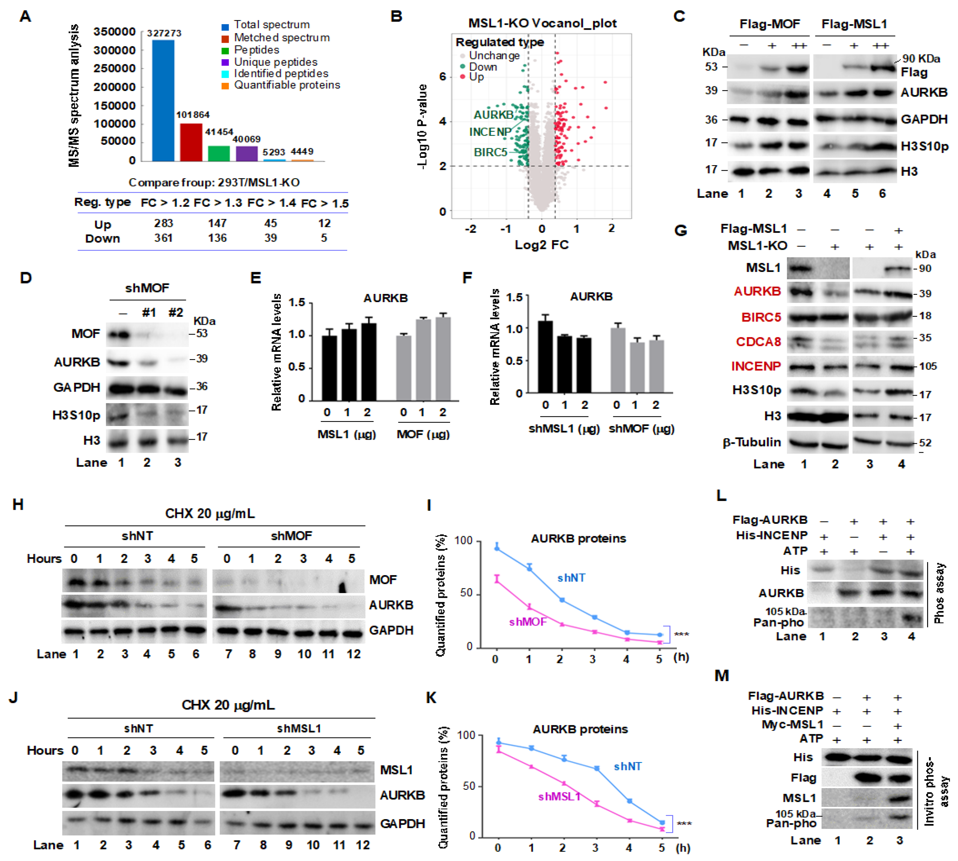 Preprints 164353 g001