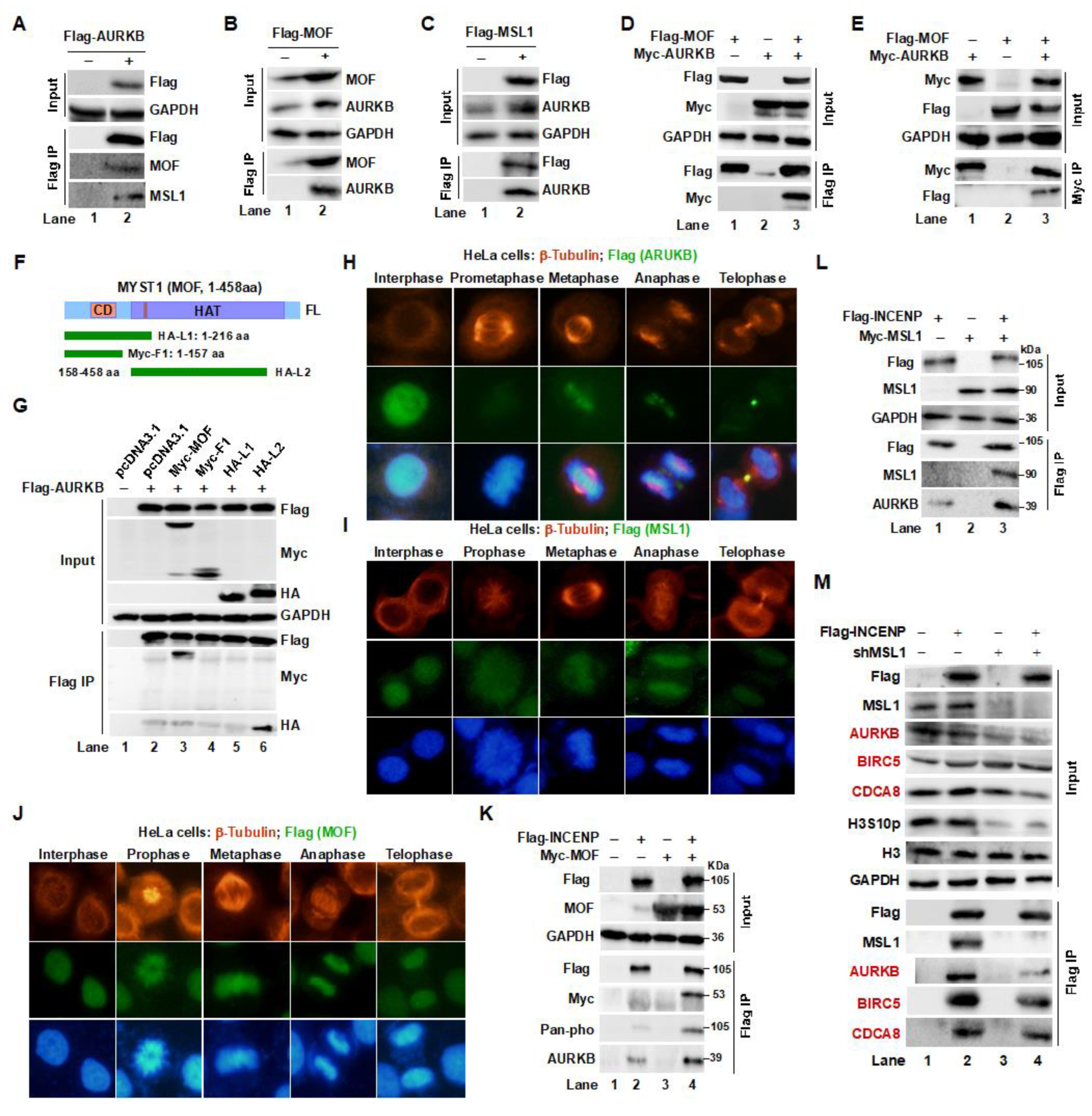 Preprints 164353 g002