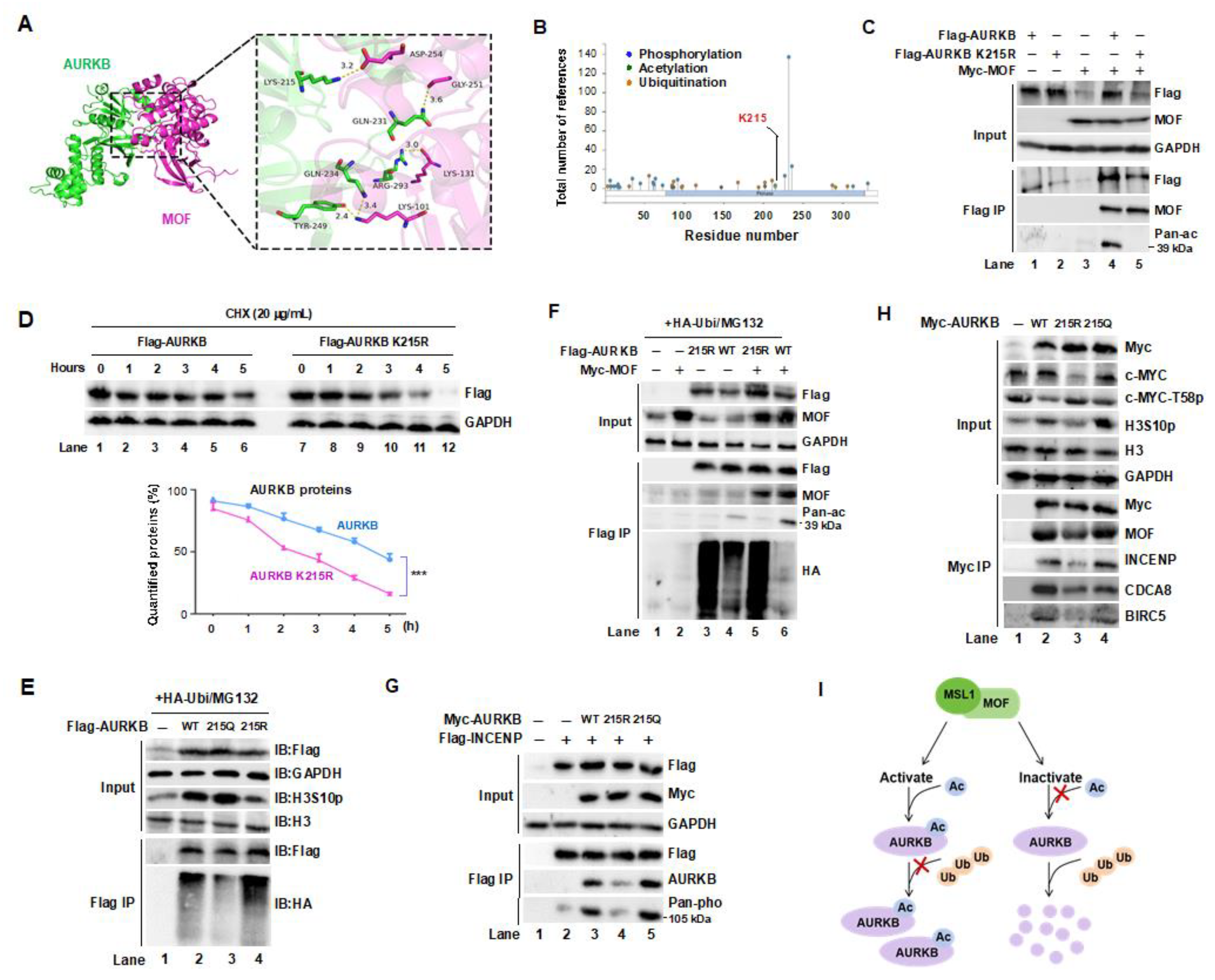 Preprints 164353 g004