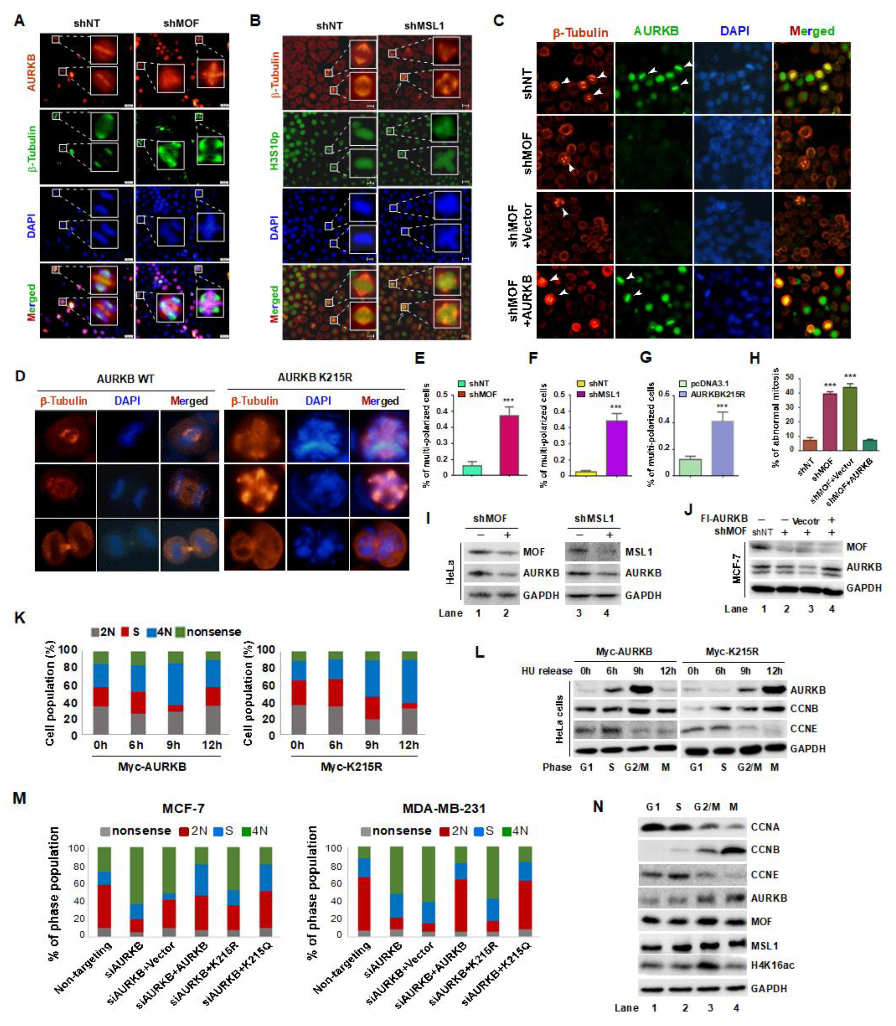 Preprints 164353 g005