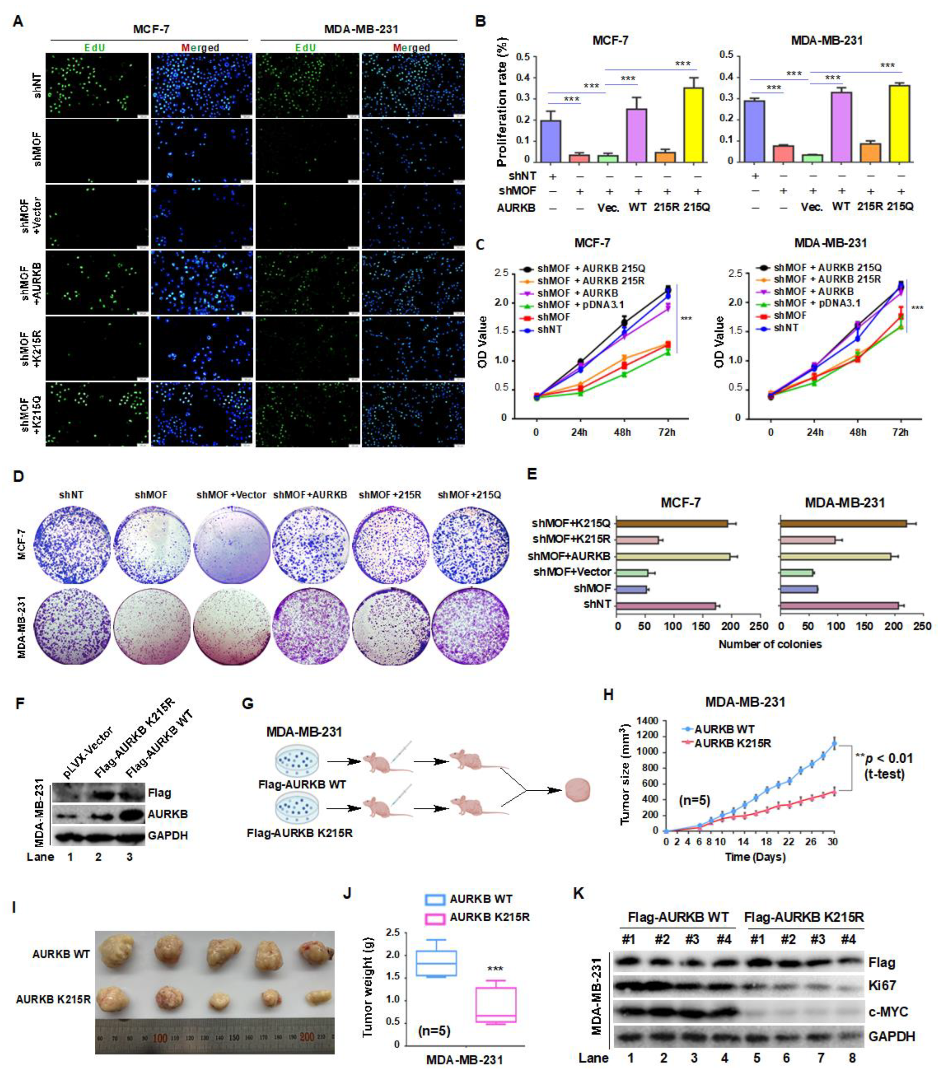 Preprints 164353 g006