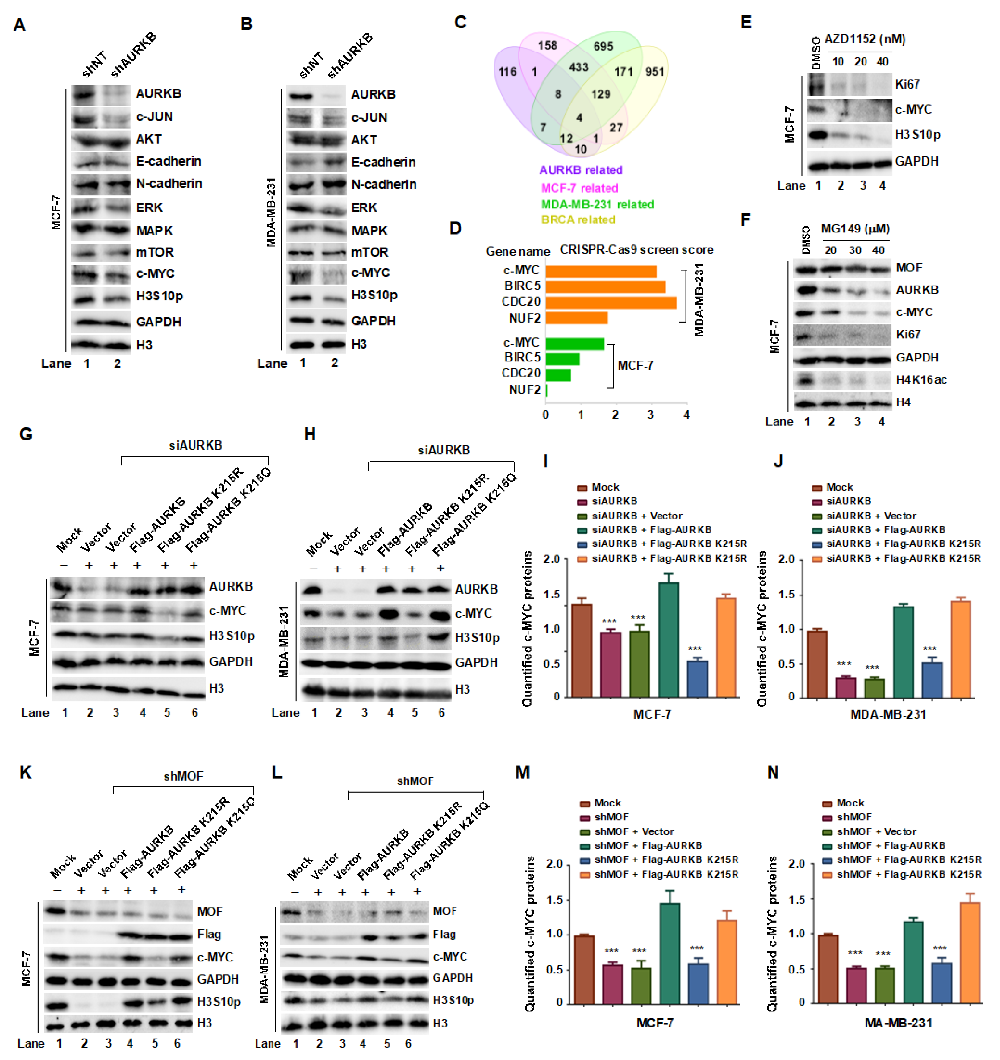 Preprints 164353 g007