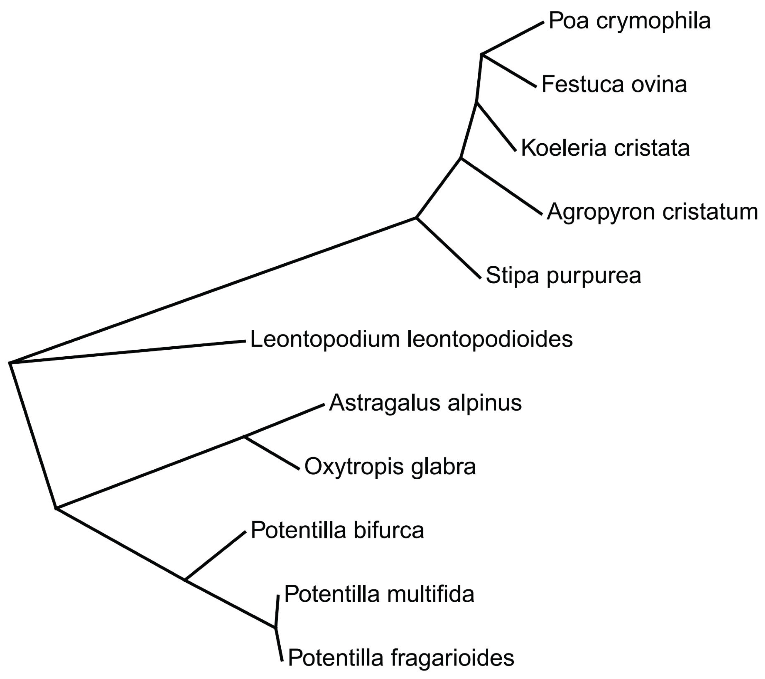 Preprints 169250 g0a1