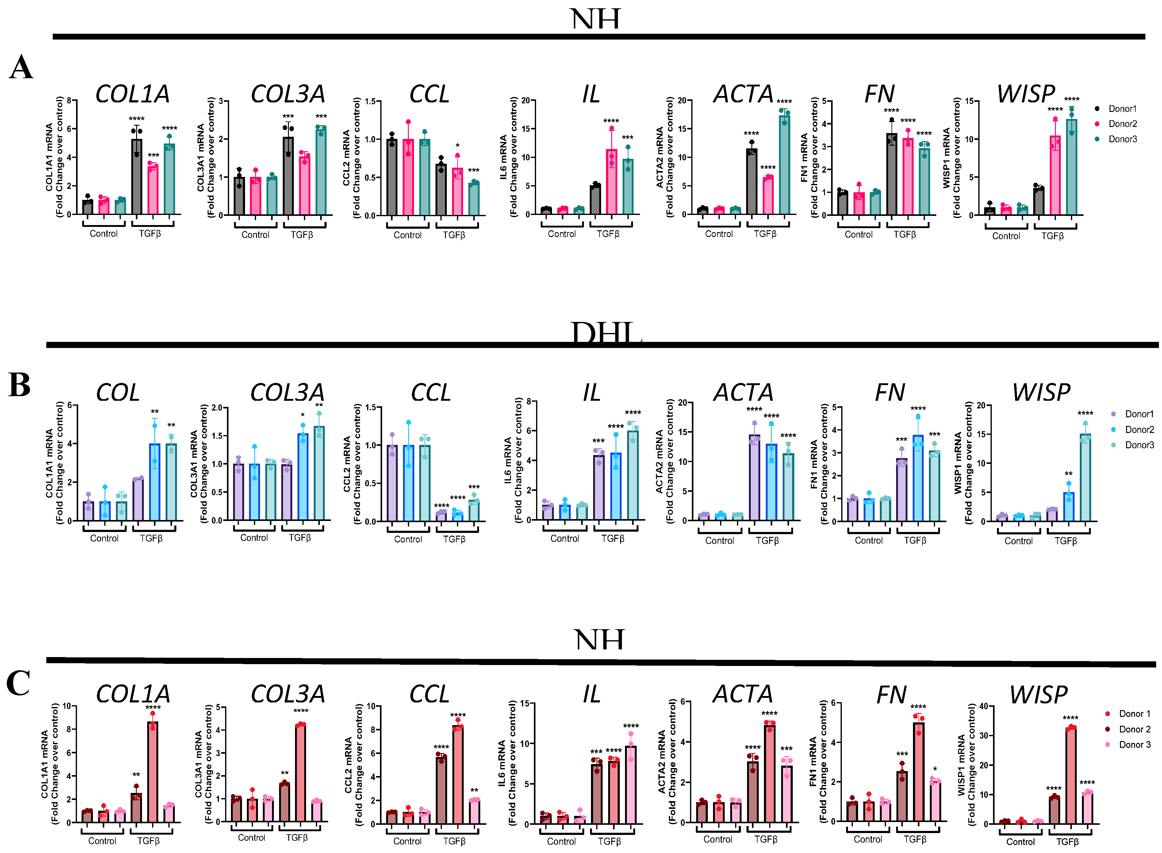 Preprints 139024 g002