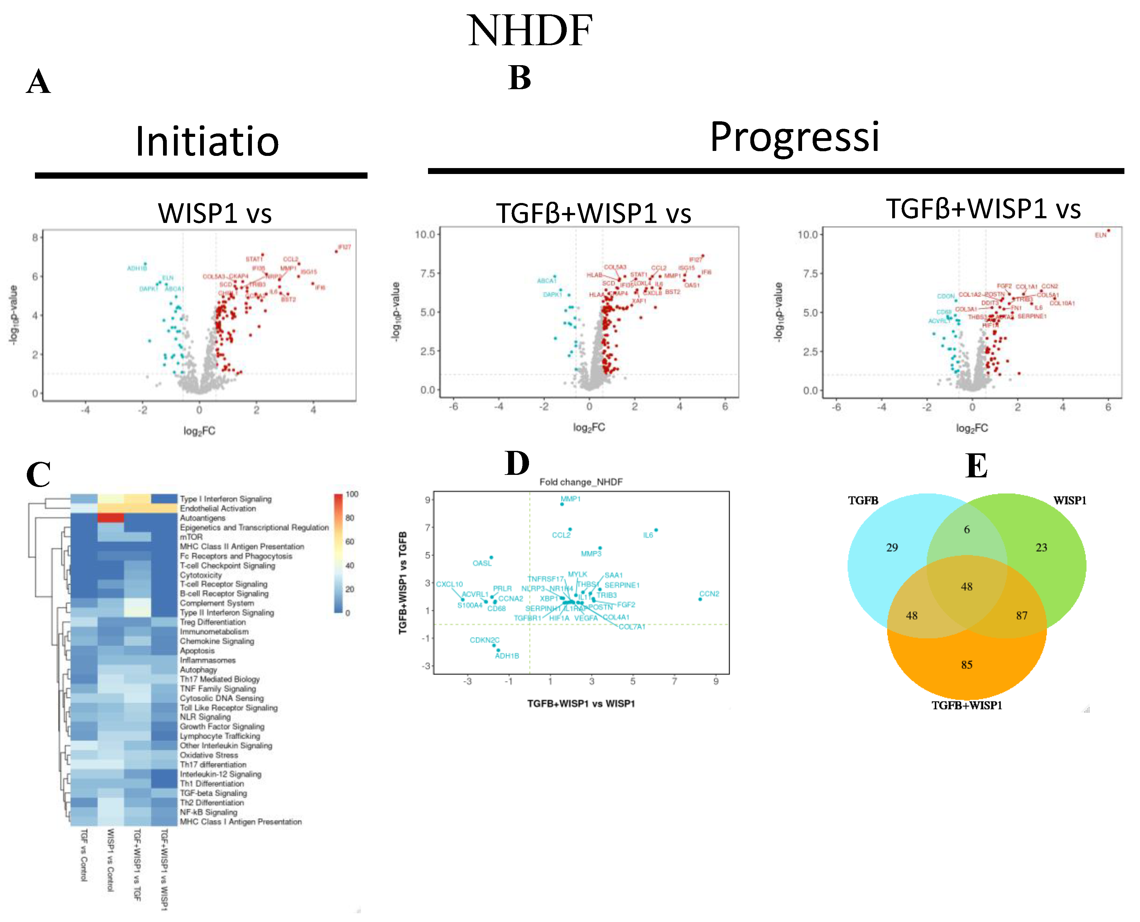 Preprints 139024 g006