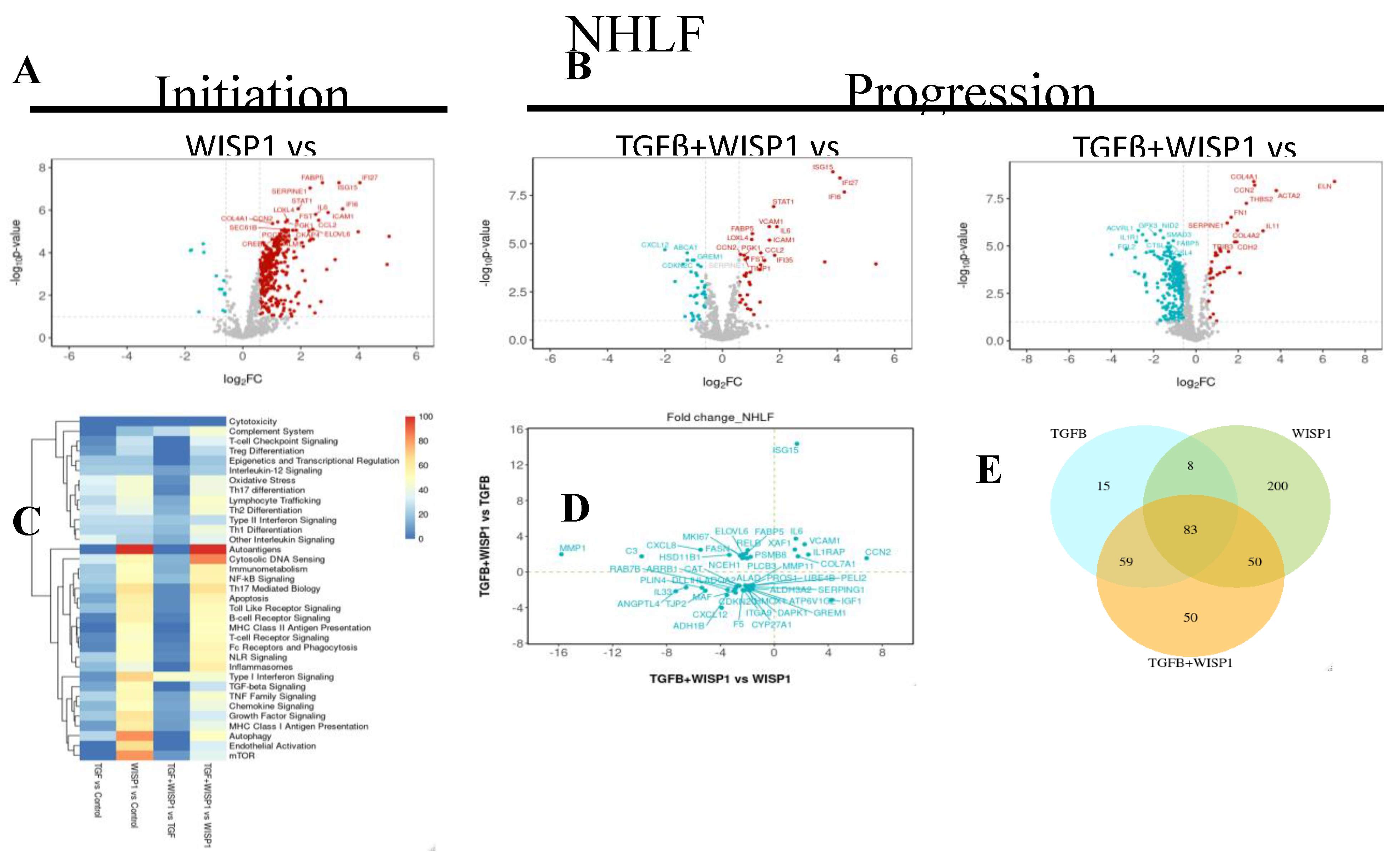 Preprints 139024 g007