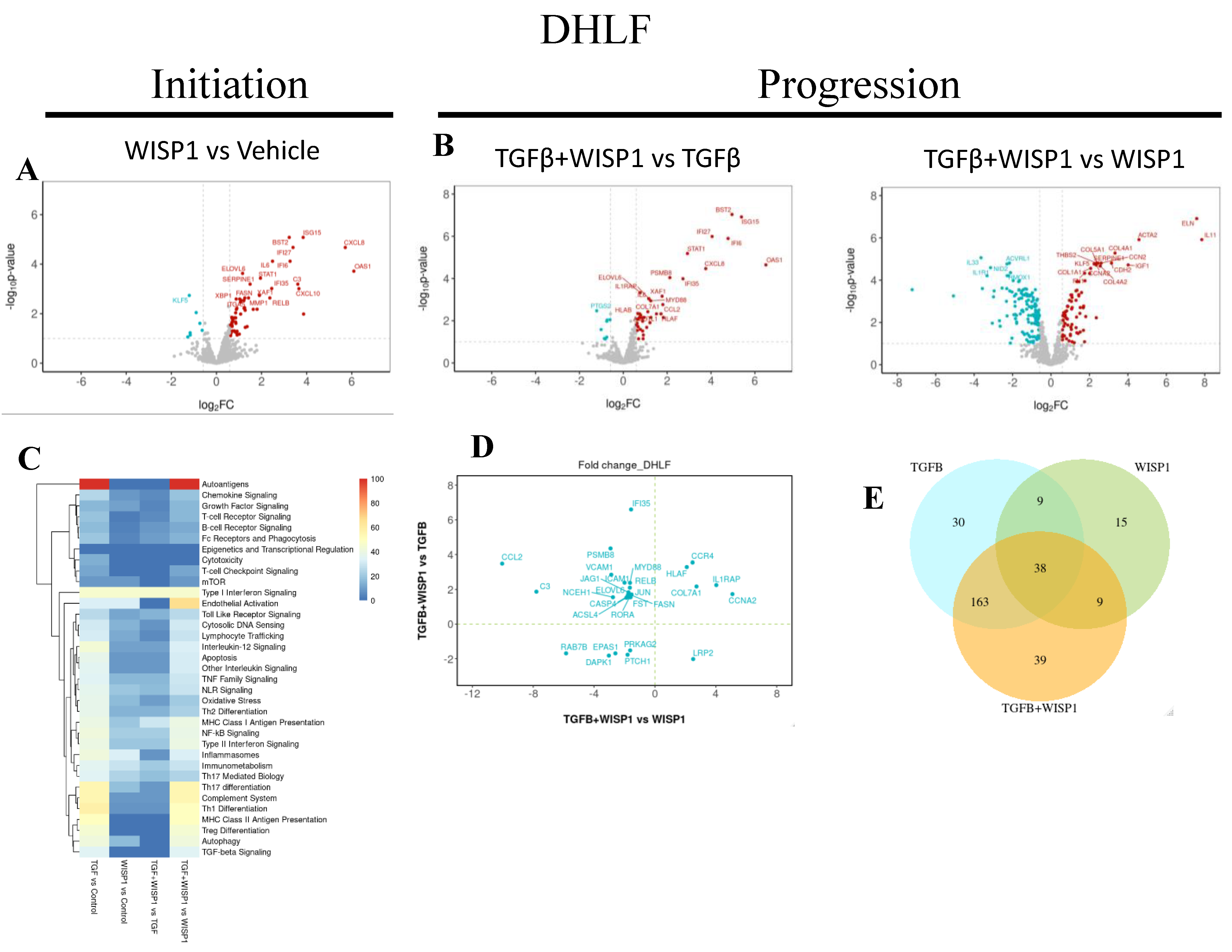 Preprints 139024 g008