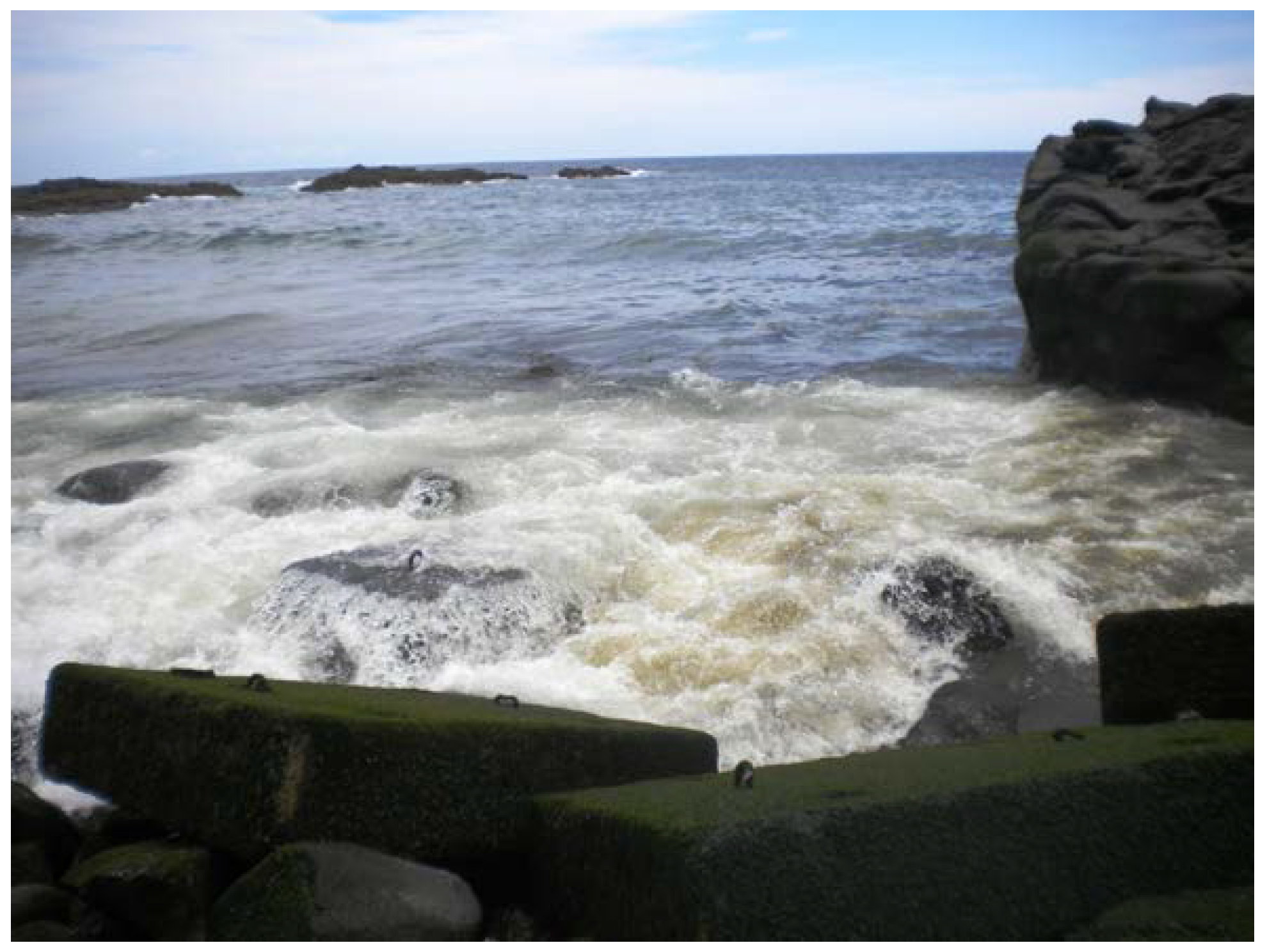 Preprints 107794 g002