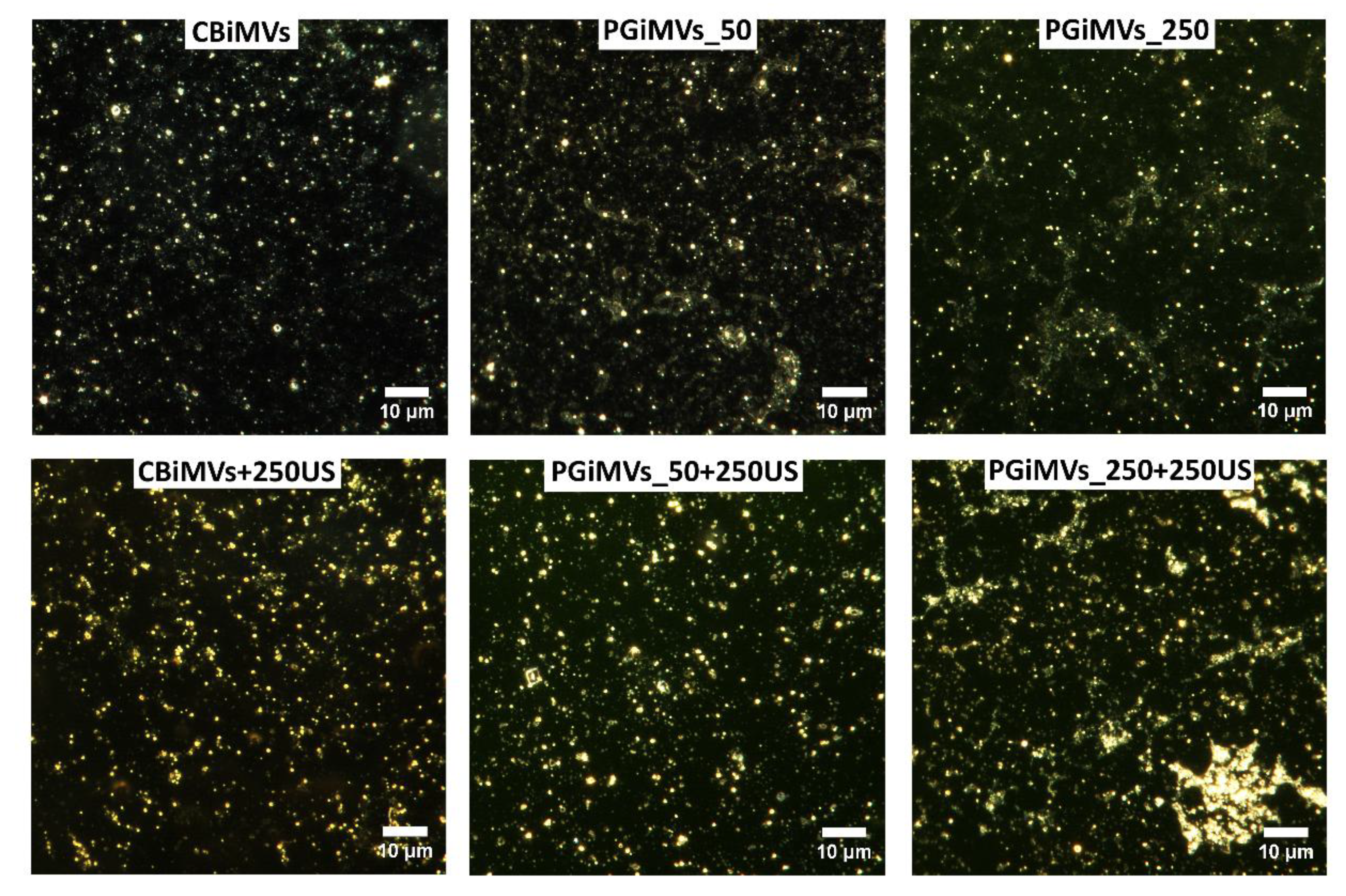 Preprints 189710 g003