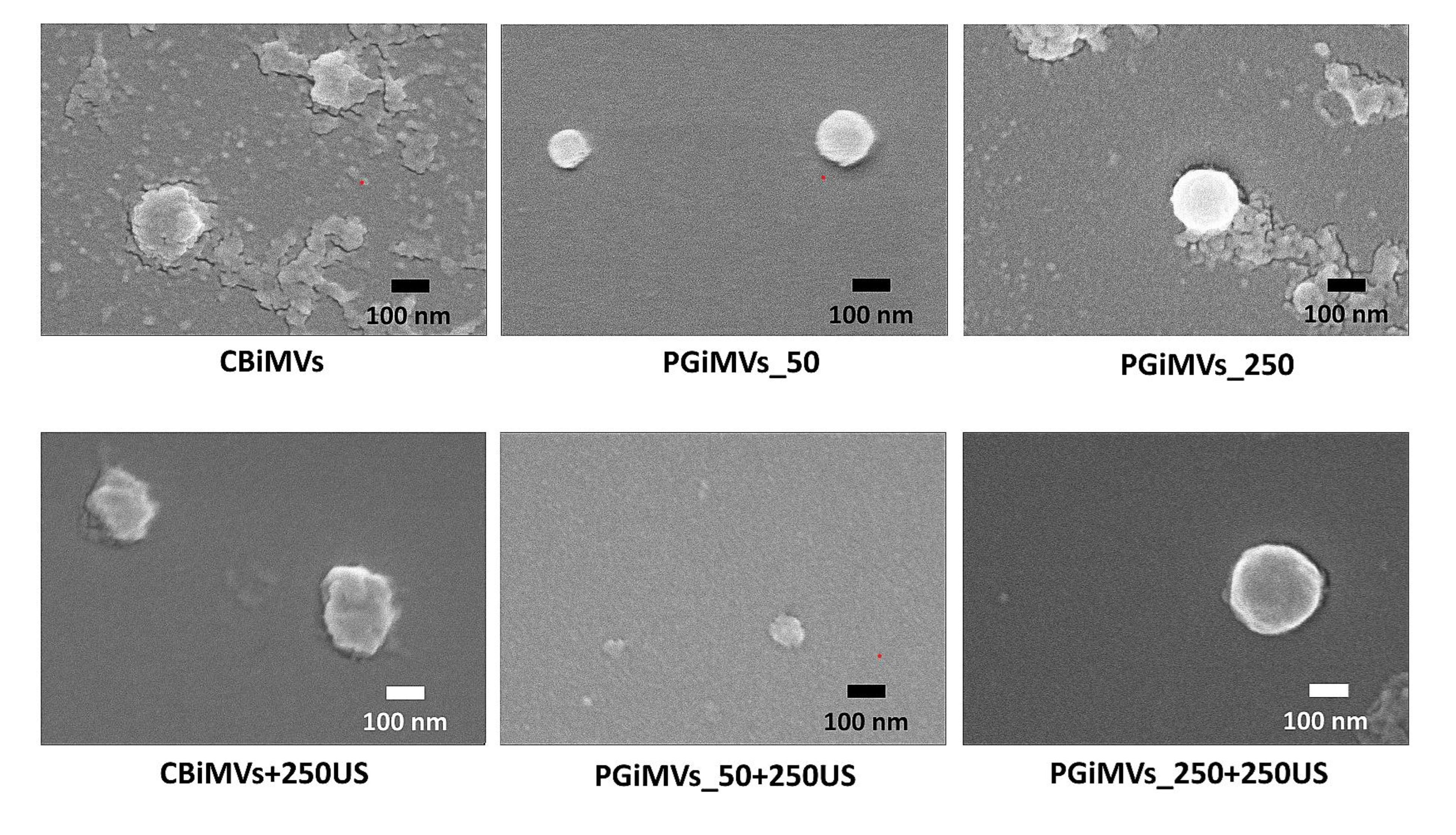 Preprints 189710 g004